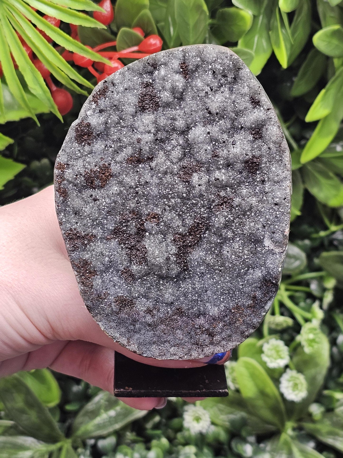 Rare Black Amethyst on Stand