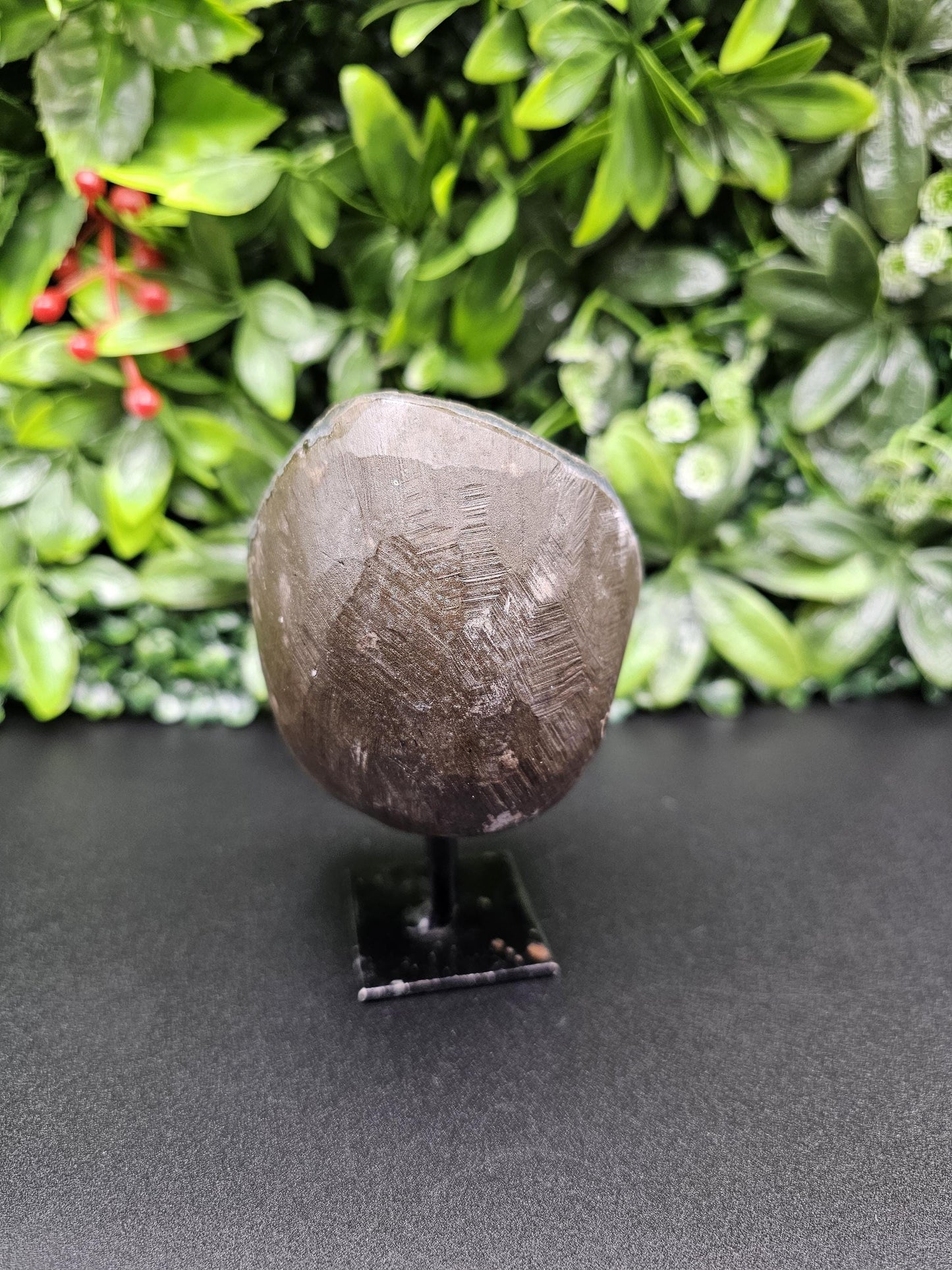 Rare Black Amethyst on Stand