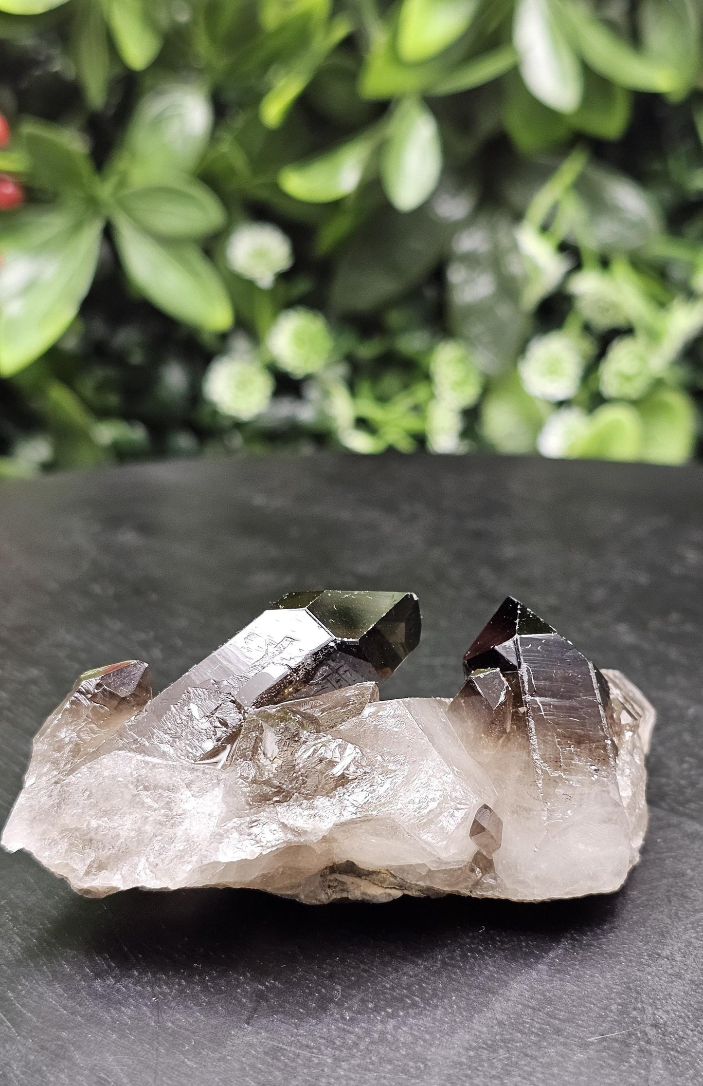 Dark Smoky Quartz Crystal Cluster