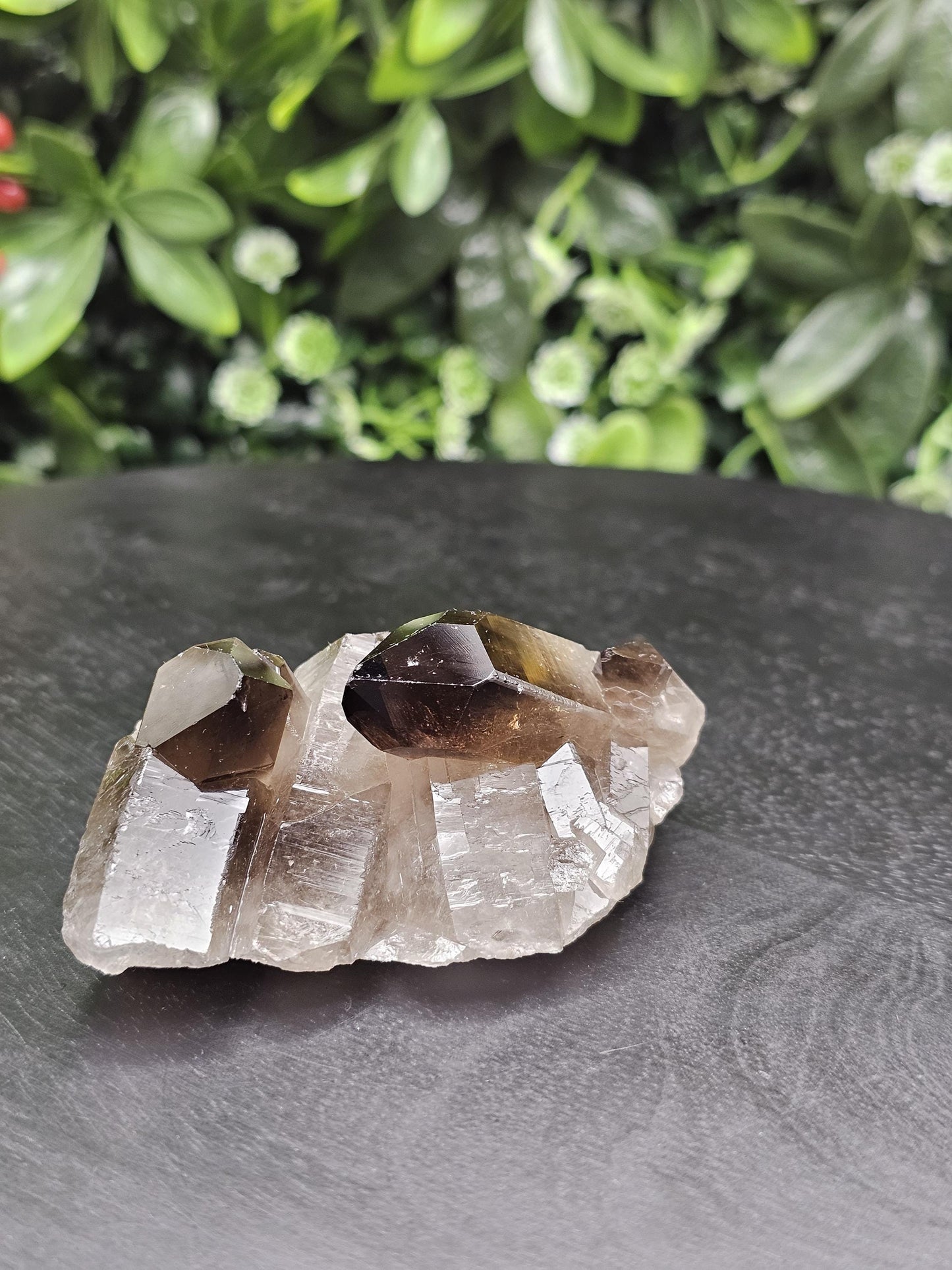 Dark Smoky Quartz Crystal Cluster