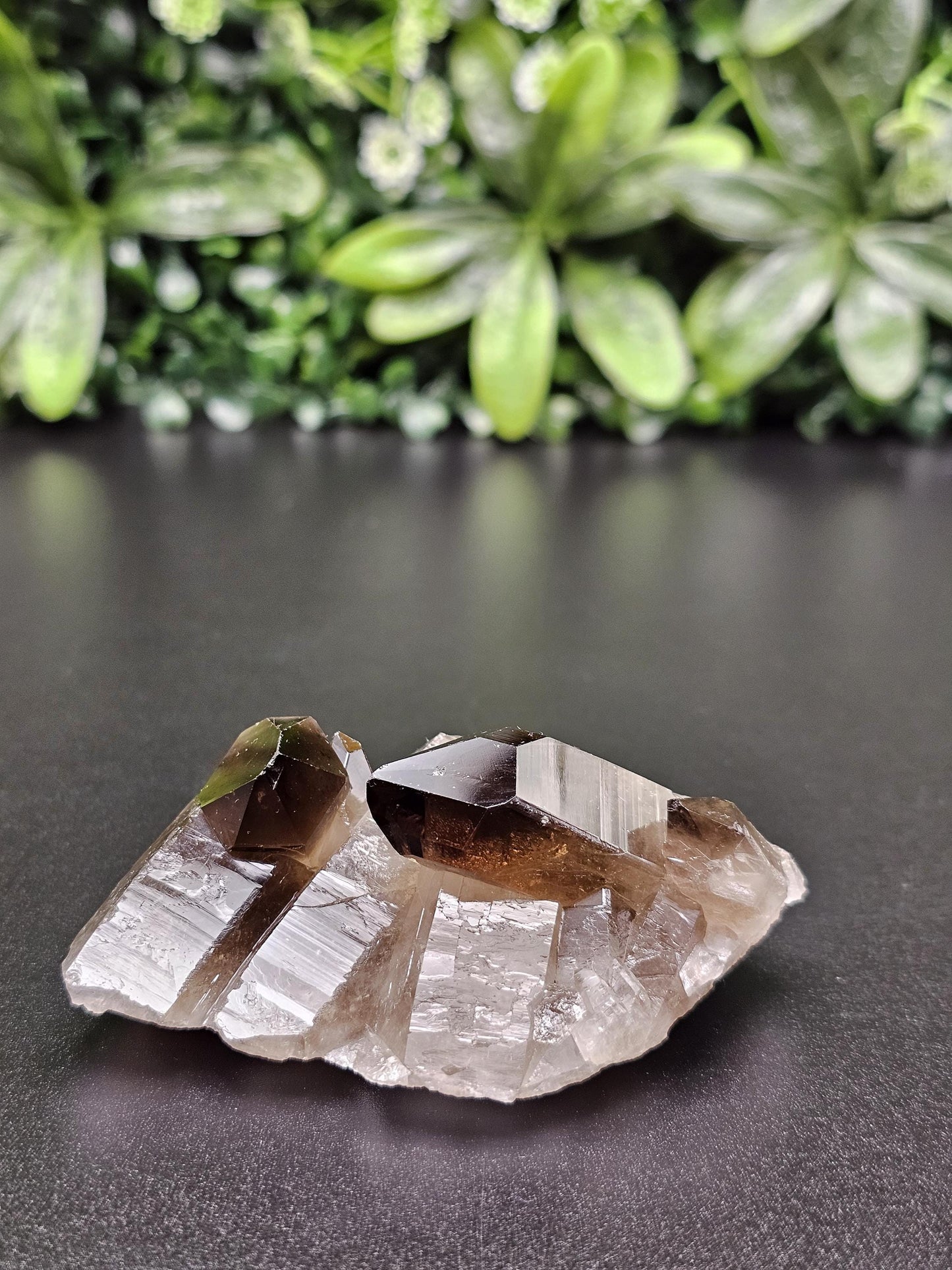 Dark Smoky Quartz Crystal Cluster