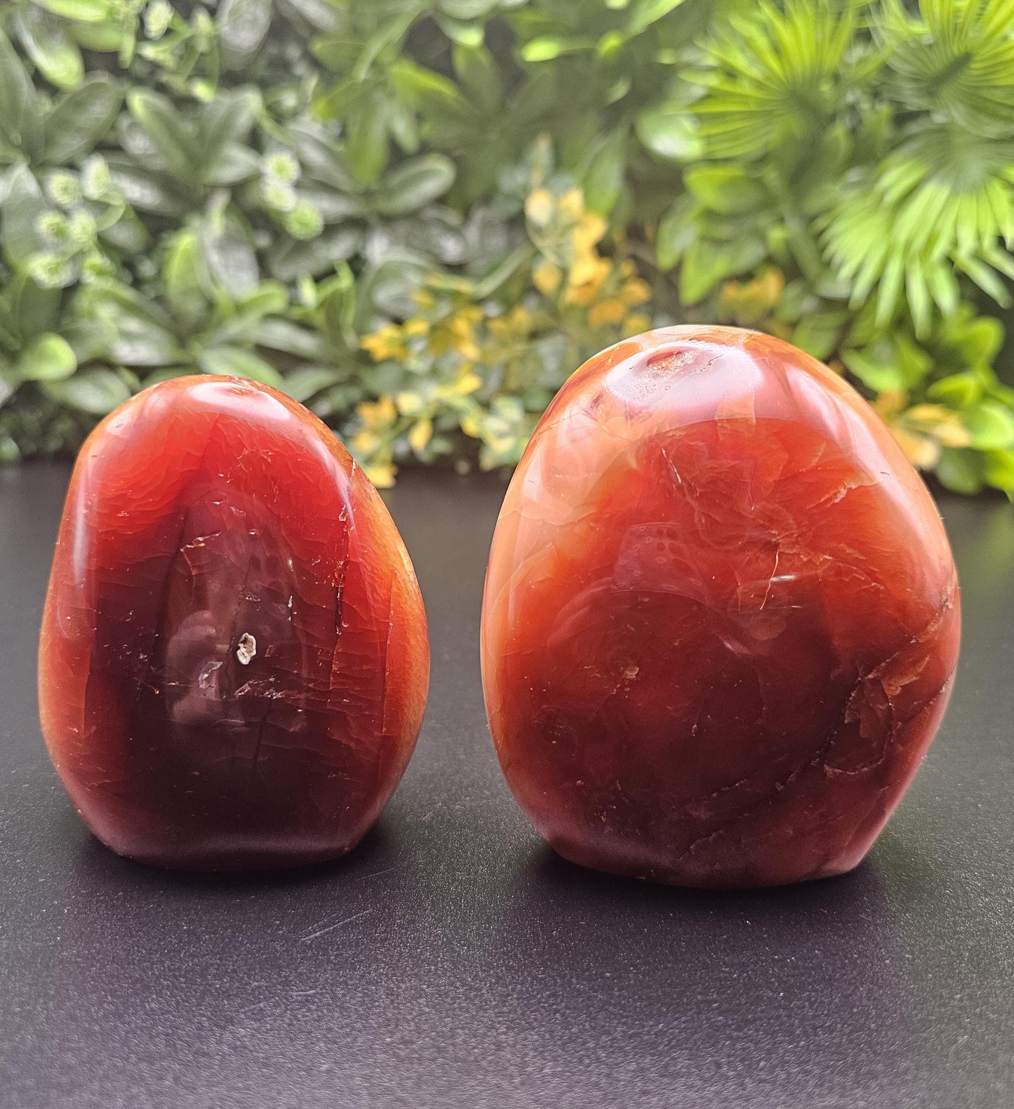 Elegant Carnelian Freeform: Large Size Choose your Freeform