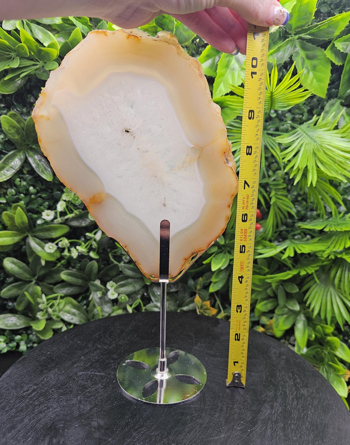 Unique Agate Slice on Display Stand