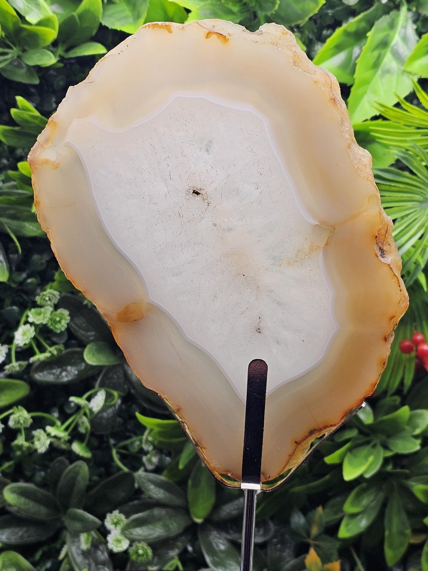 Unique Agate Slice on Display Stand