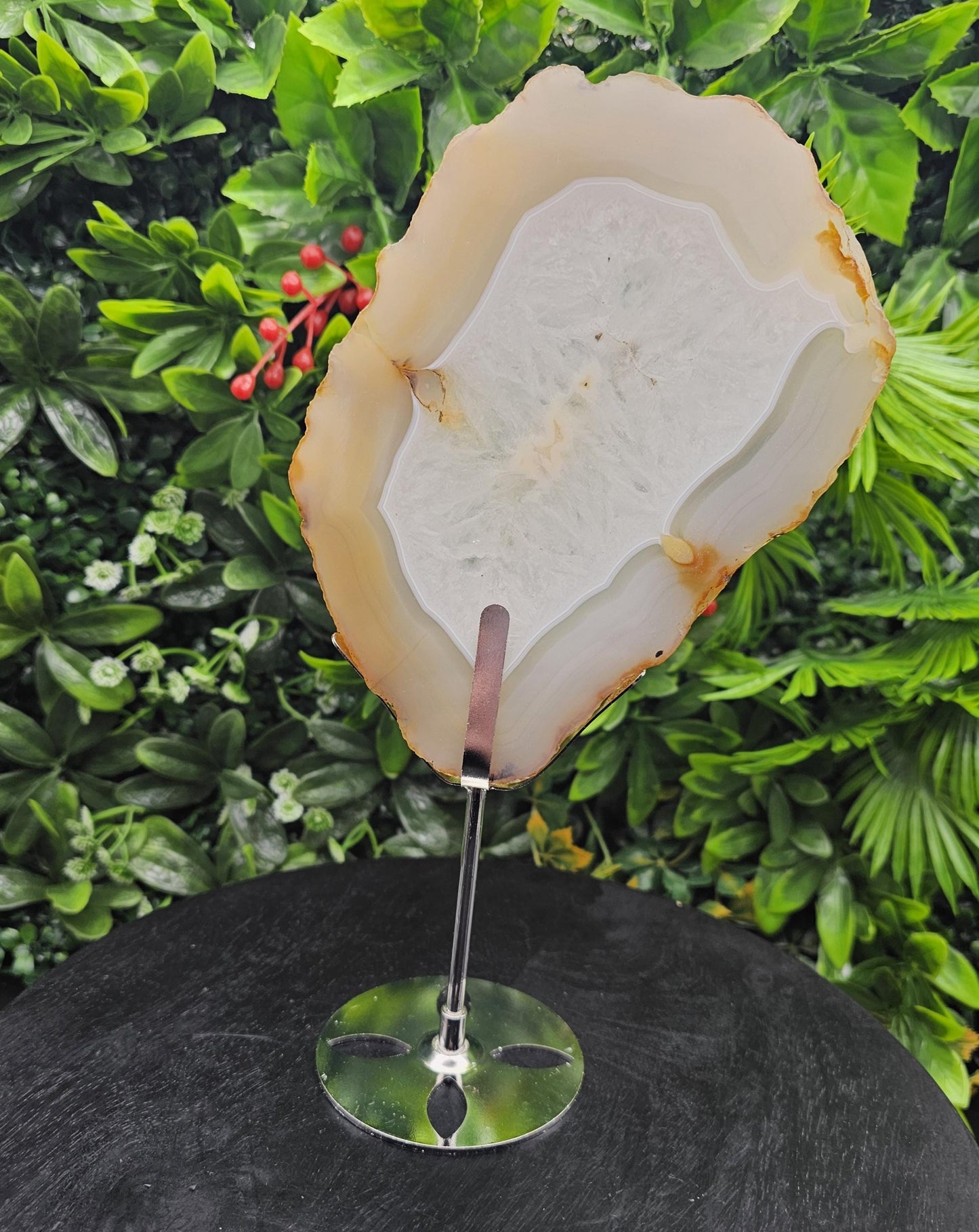 Unique Agate Slice on Display Stand