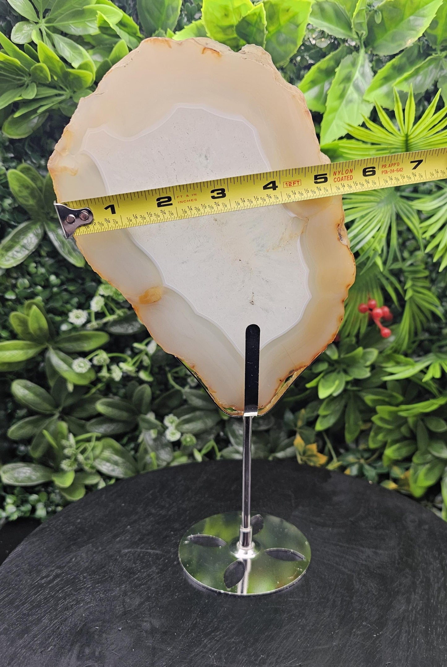 Unique Agate Slice on Display Stand