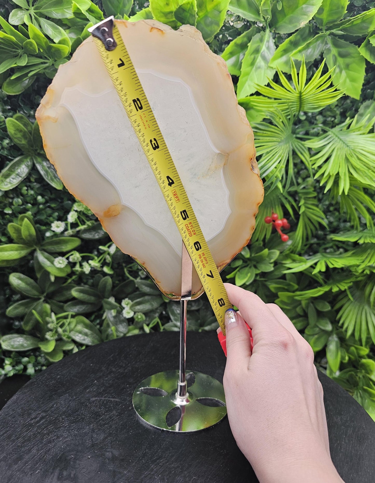 Unique Agate Slice on Display Stand