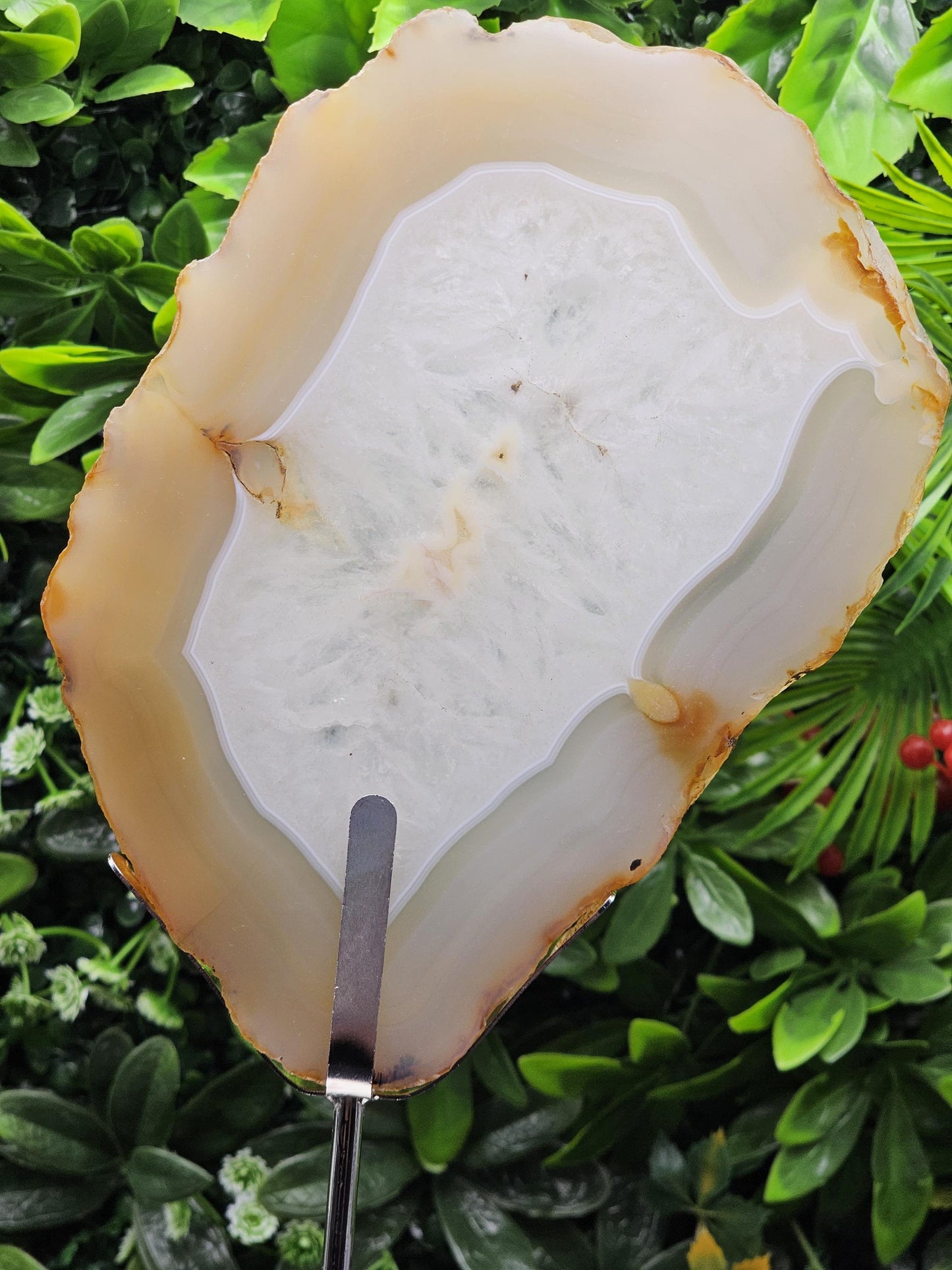 Unique Agate Slice on Display Stand
