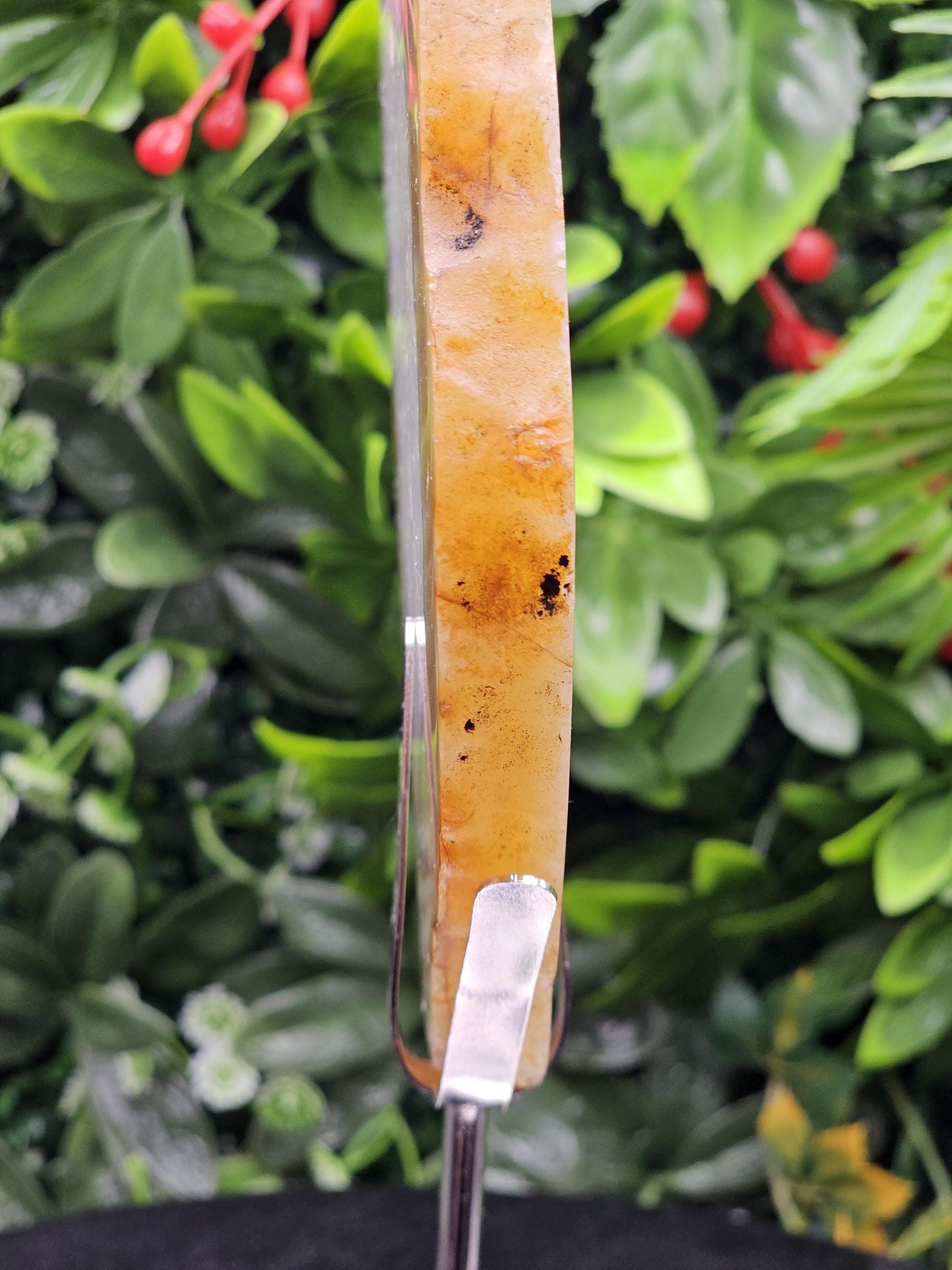 Unique Agate Slice on Display Stand