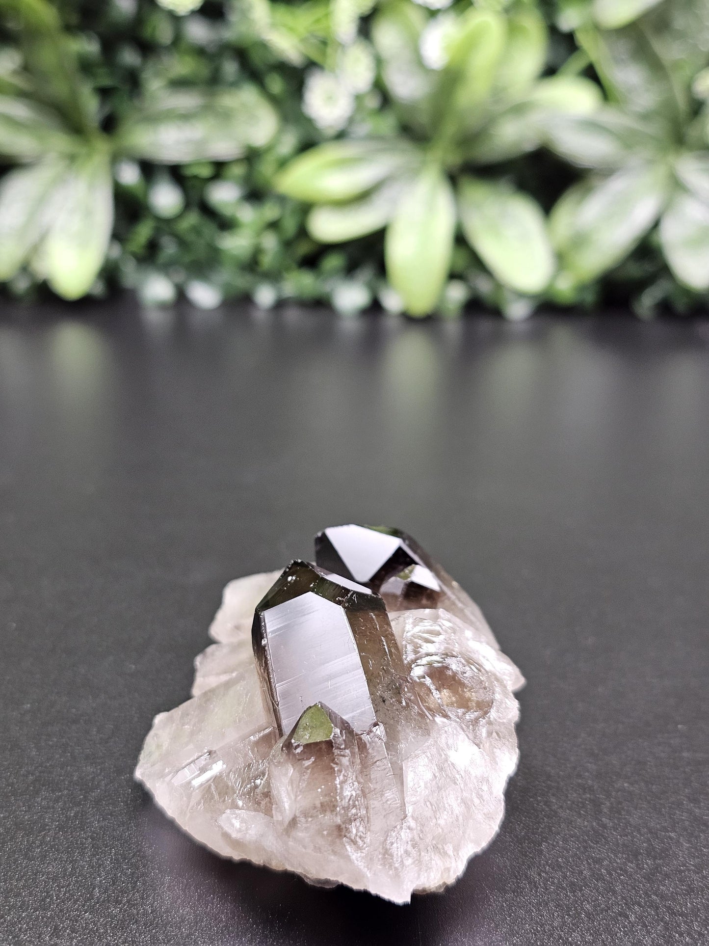 Dark Smoky Quartz Crystal Cluster