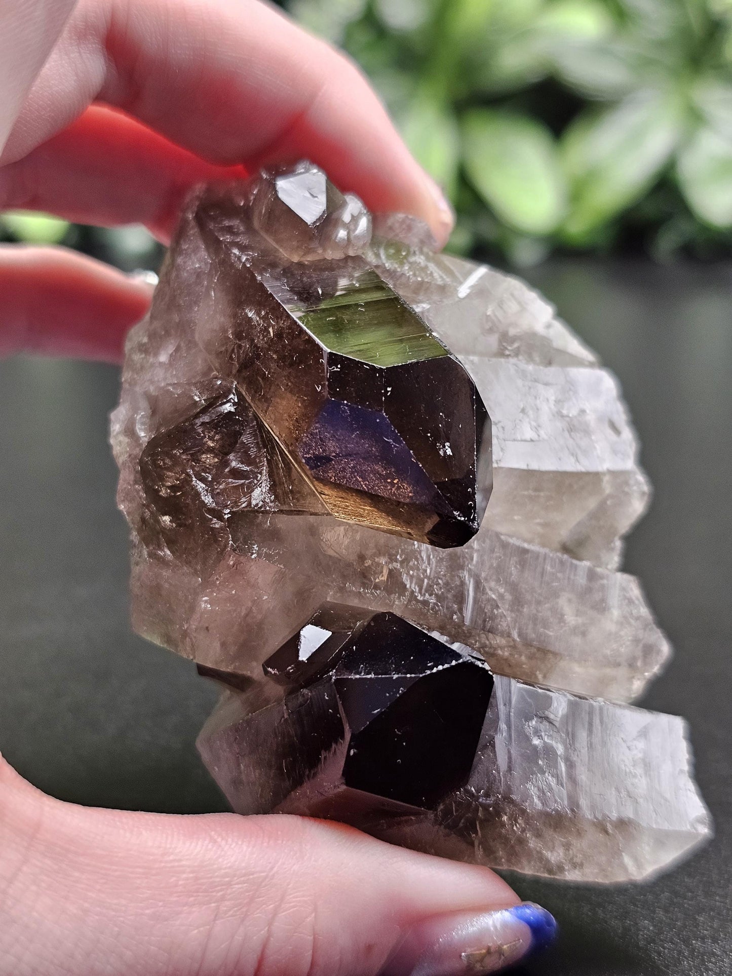 Dark Smoky Quartz Crystal Cluster
