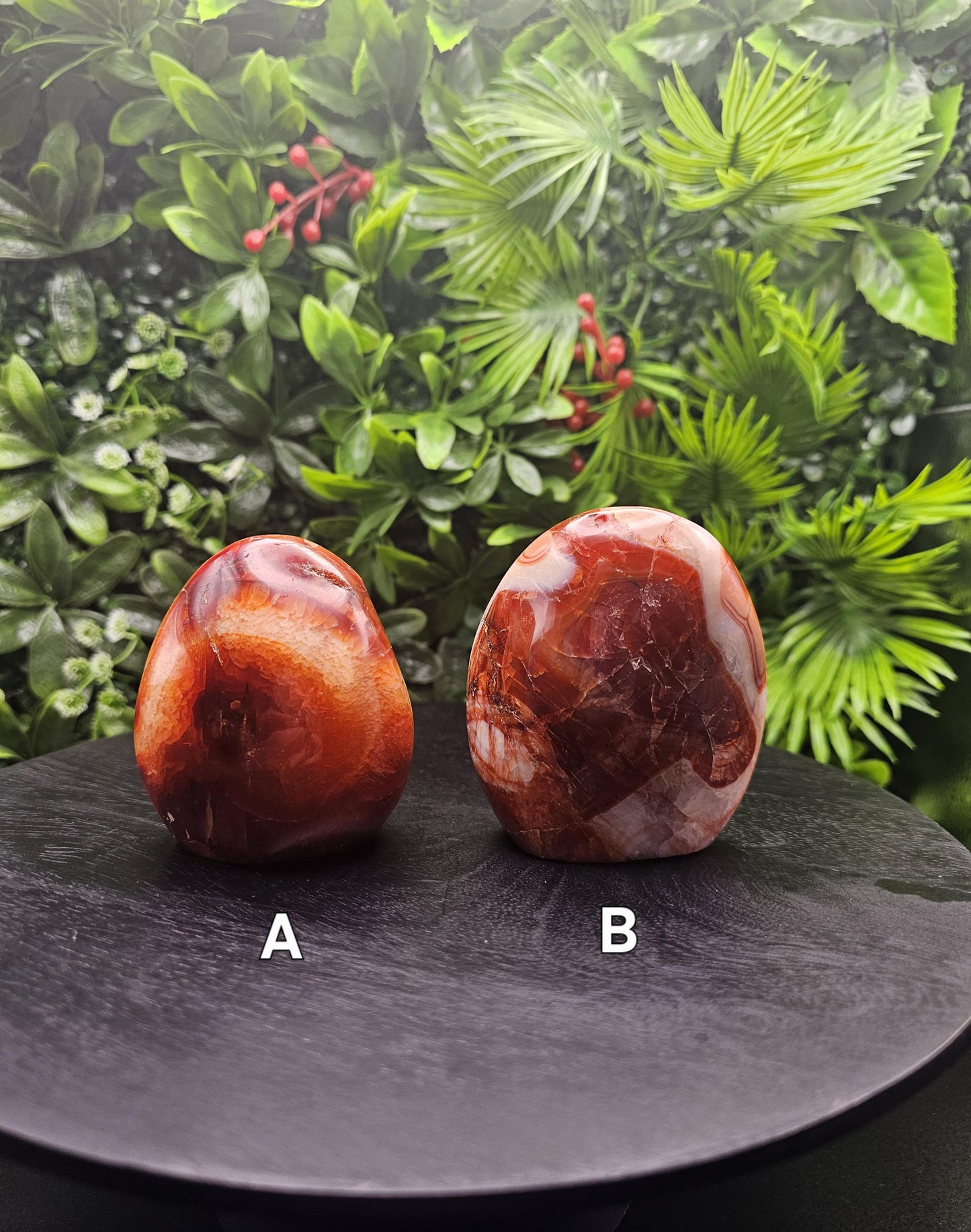 Elegant Carnelian Freeform: Large Size Choose your Freeform