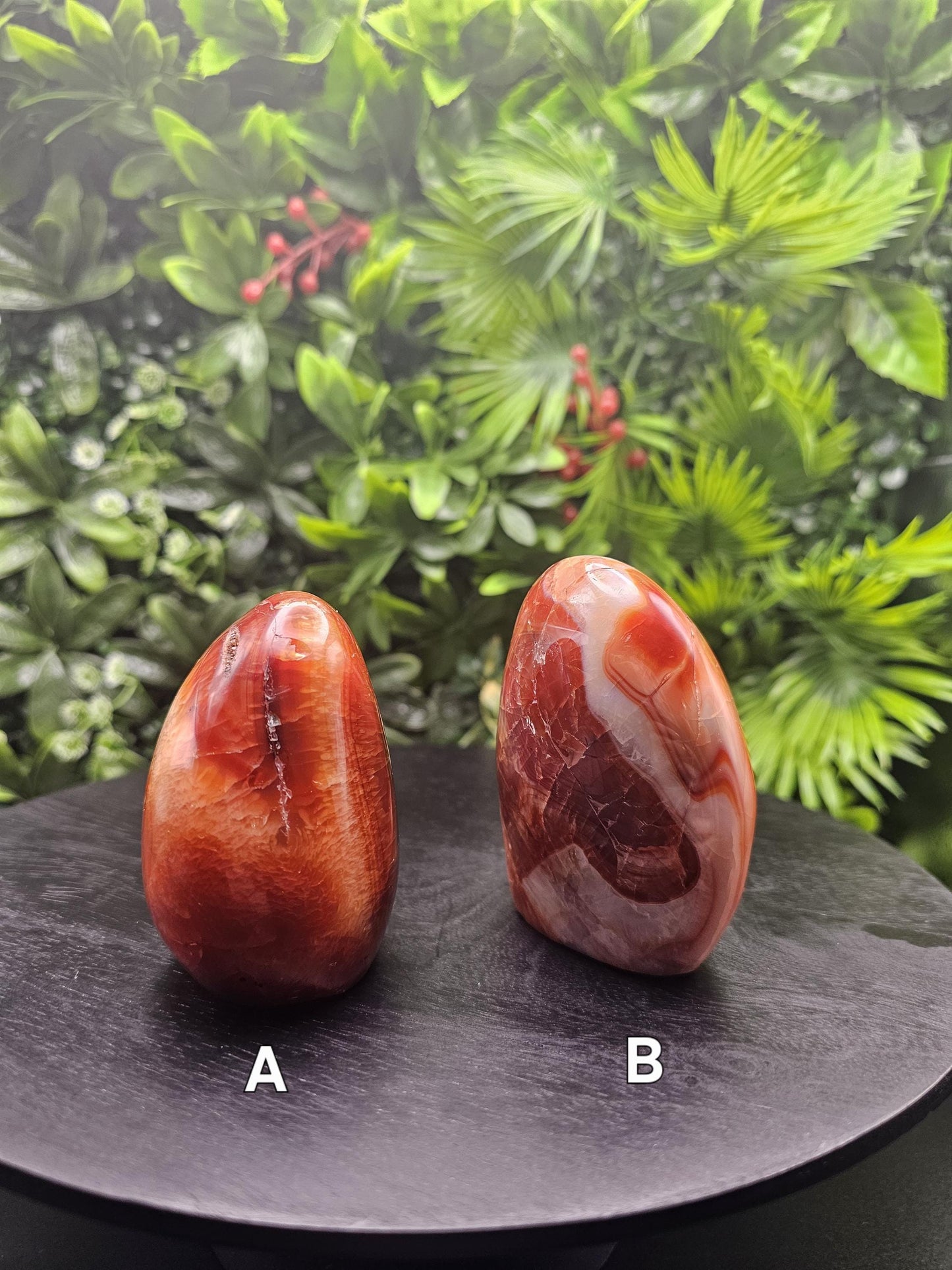 Elegant Carnelian Freeform: Large Size Choose your Freeform