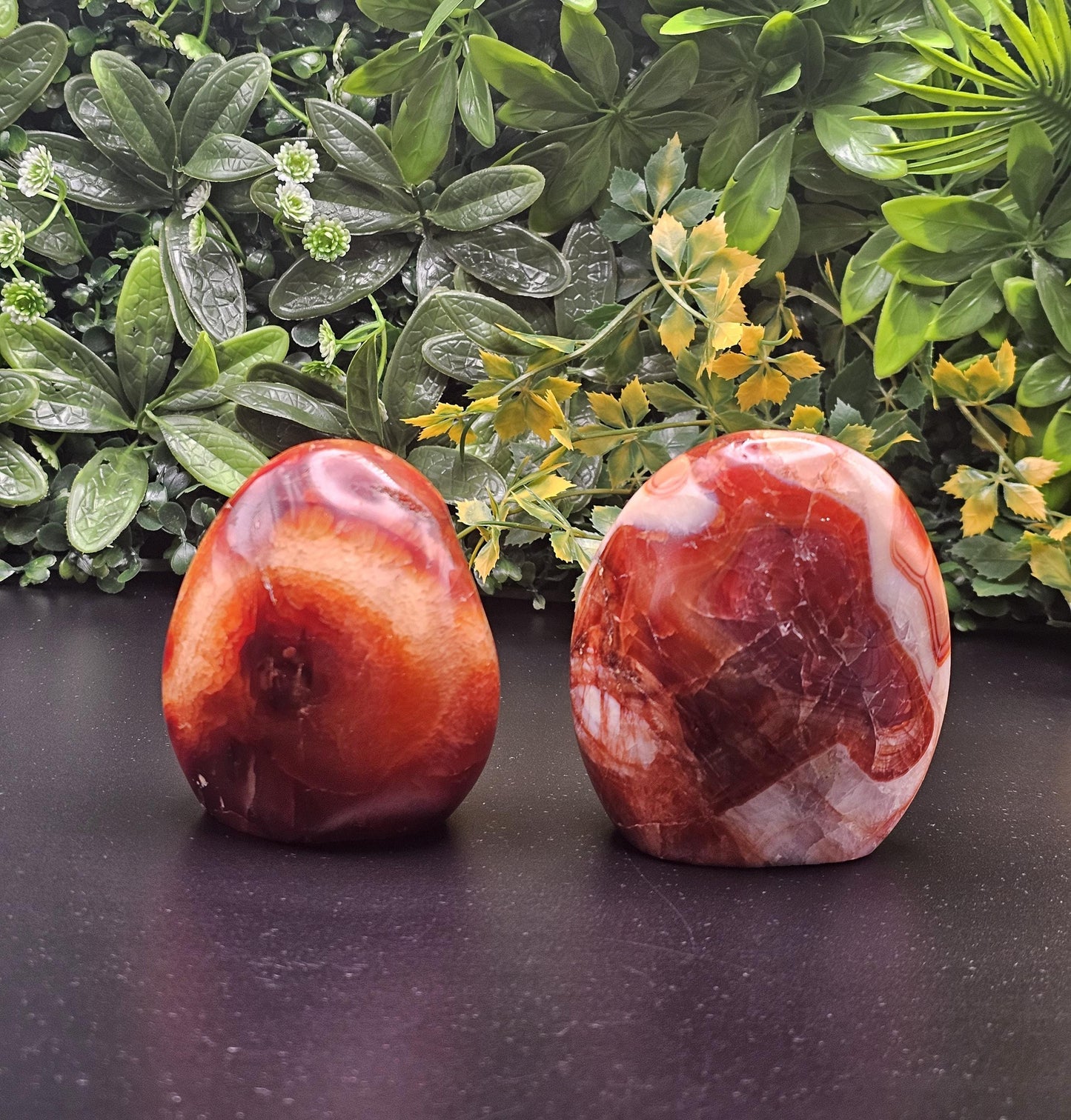 Elegant Carnelian Freeform: Large Size Choose your Freeform