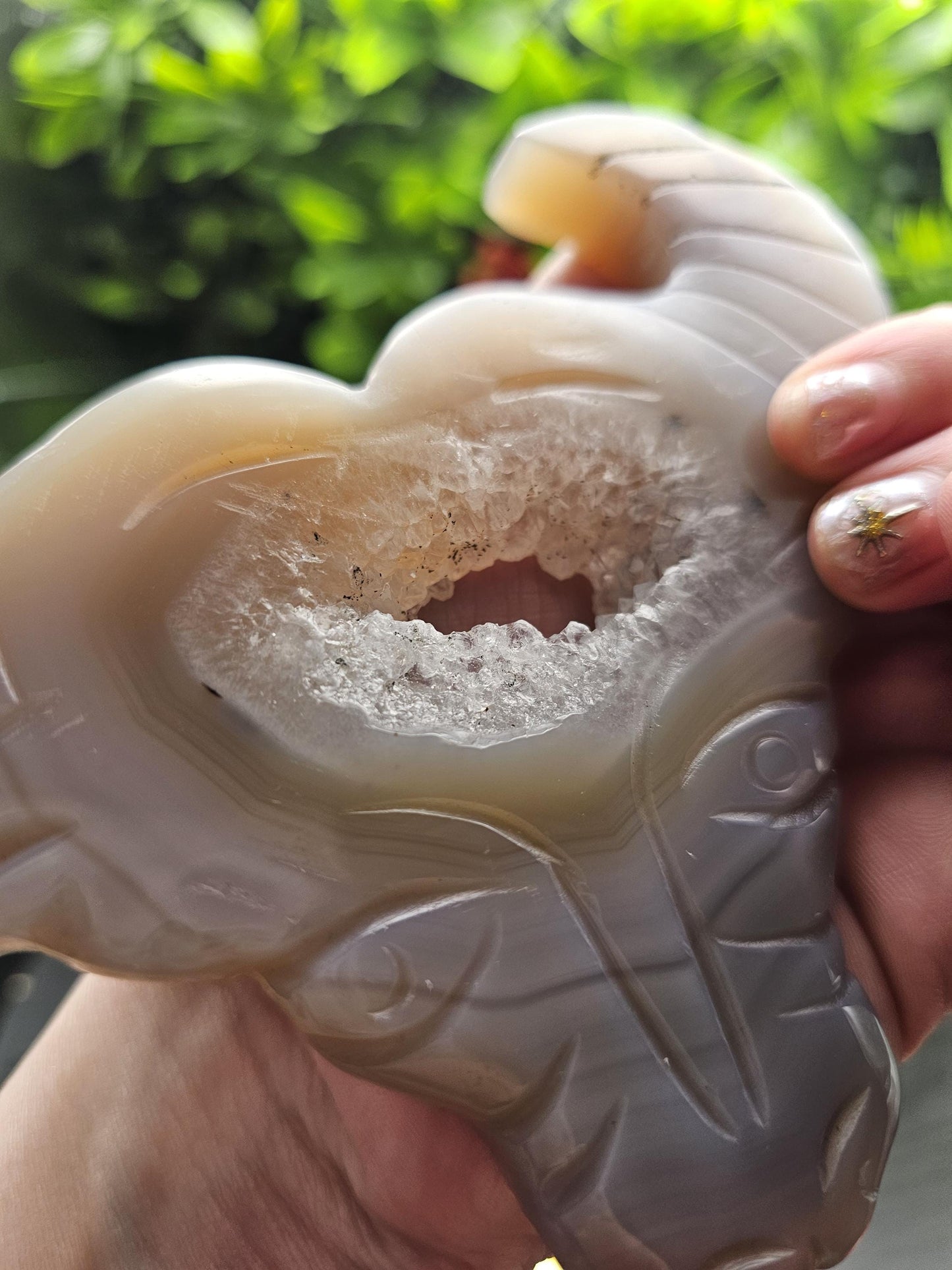 Unique Druzy Agate Bull Carving on Zodiac Stand