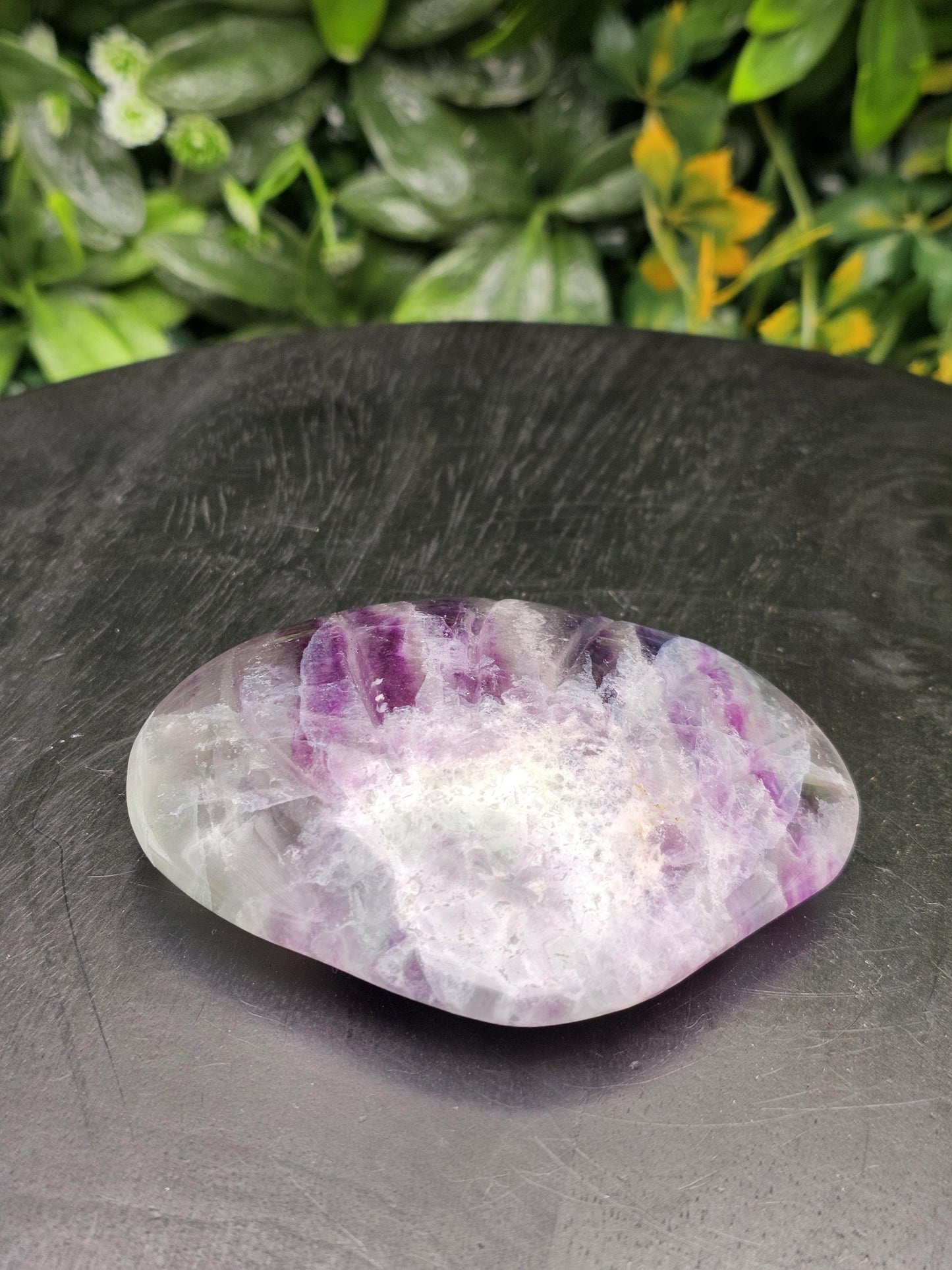 Snowflake Fluorite Sea Shell Carving