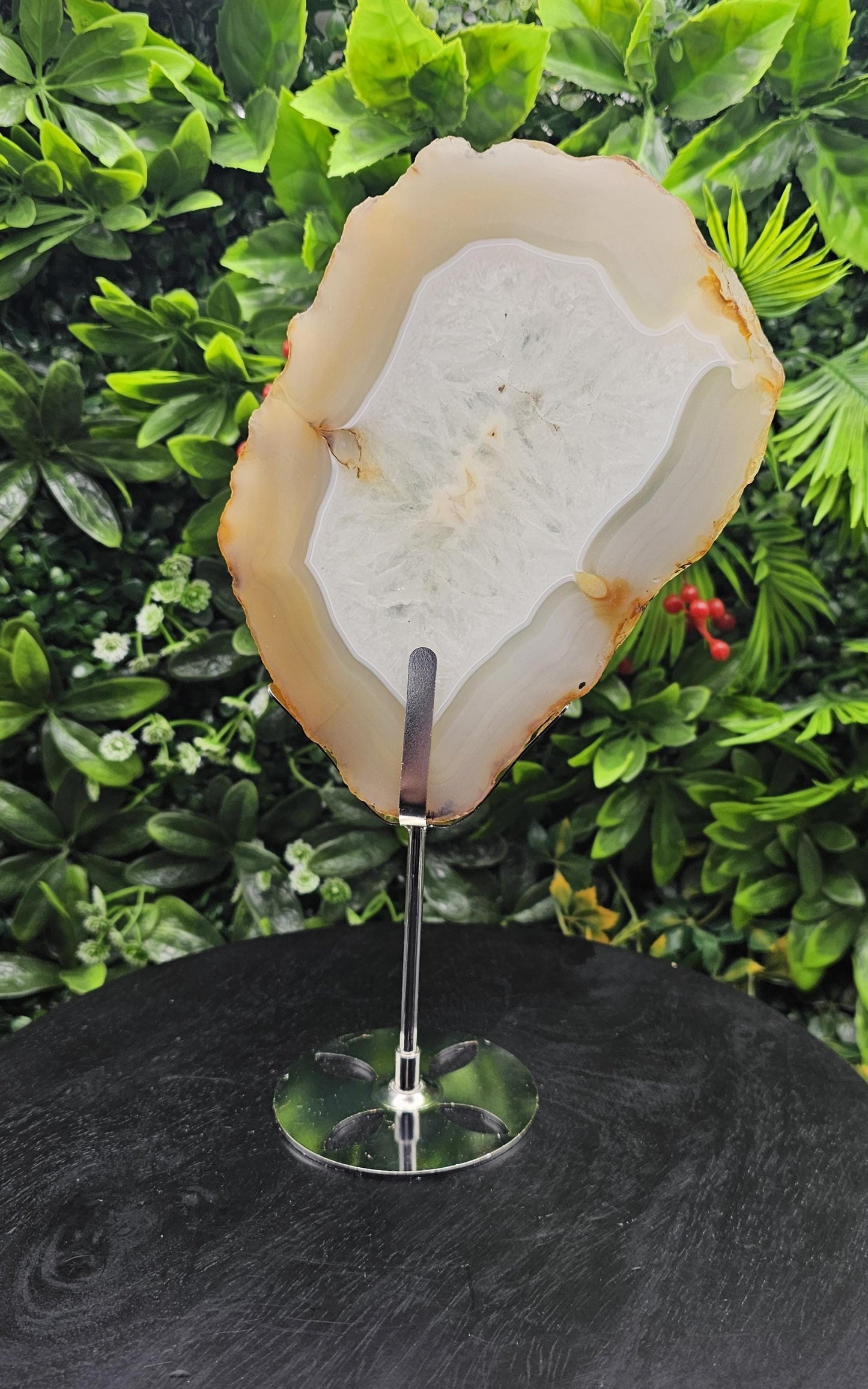 Unique Agate Slice on Display Stand