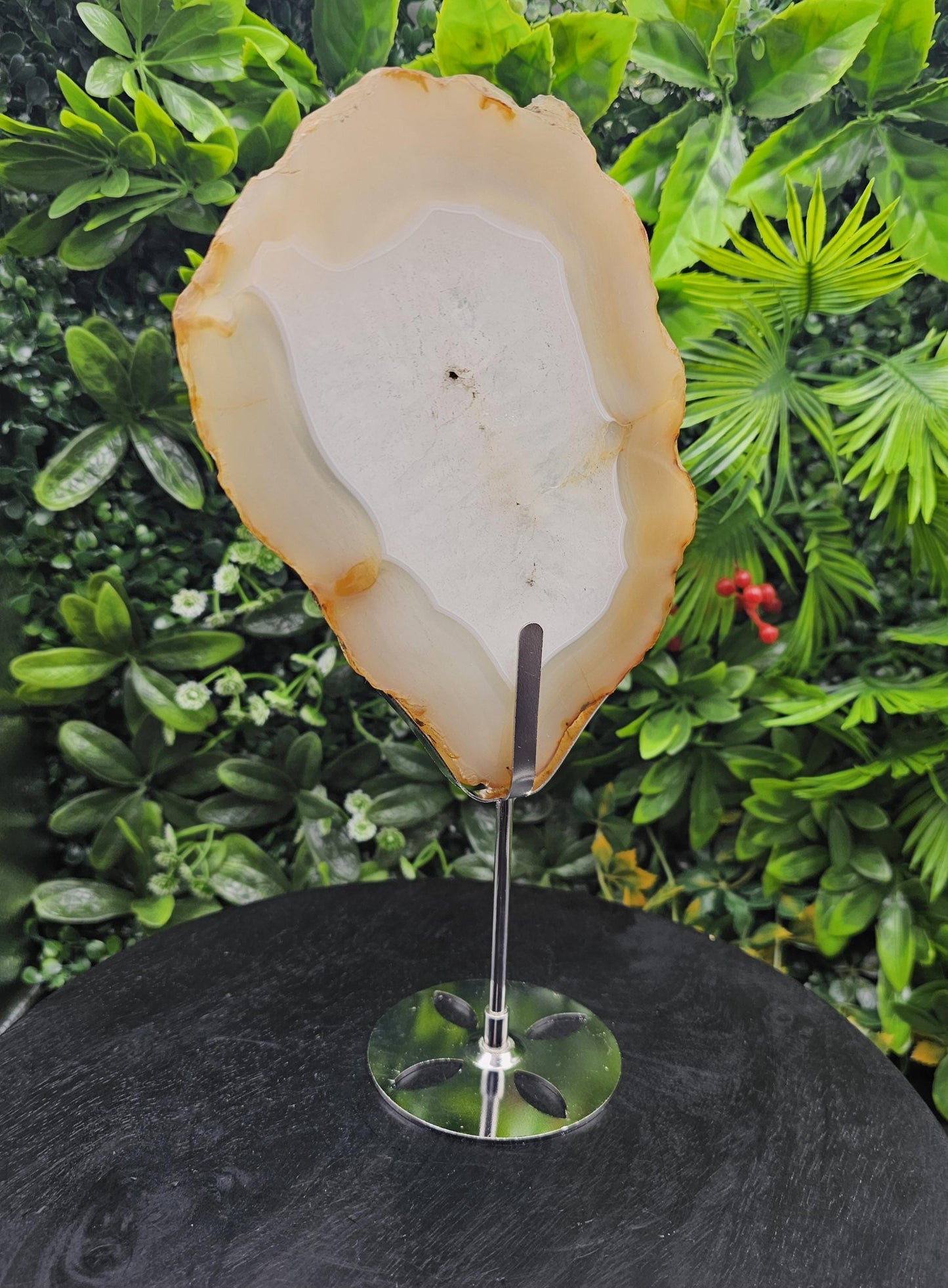 Unique Agate Slice on Display Stand
