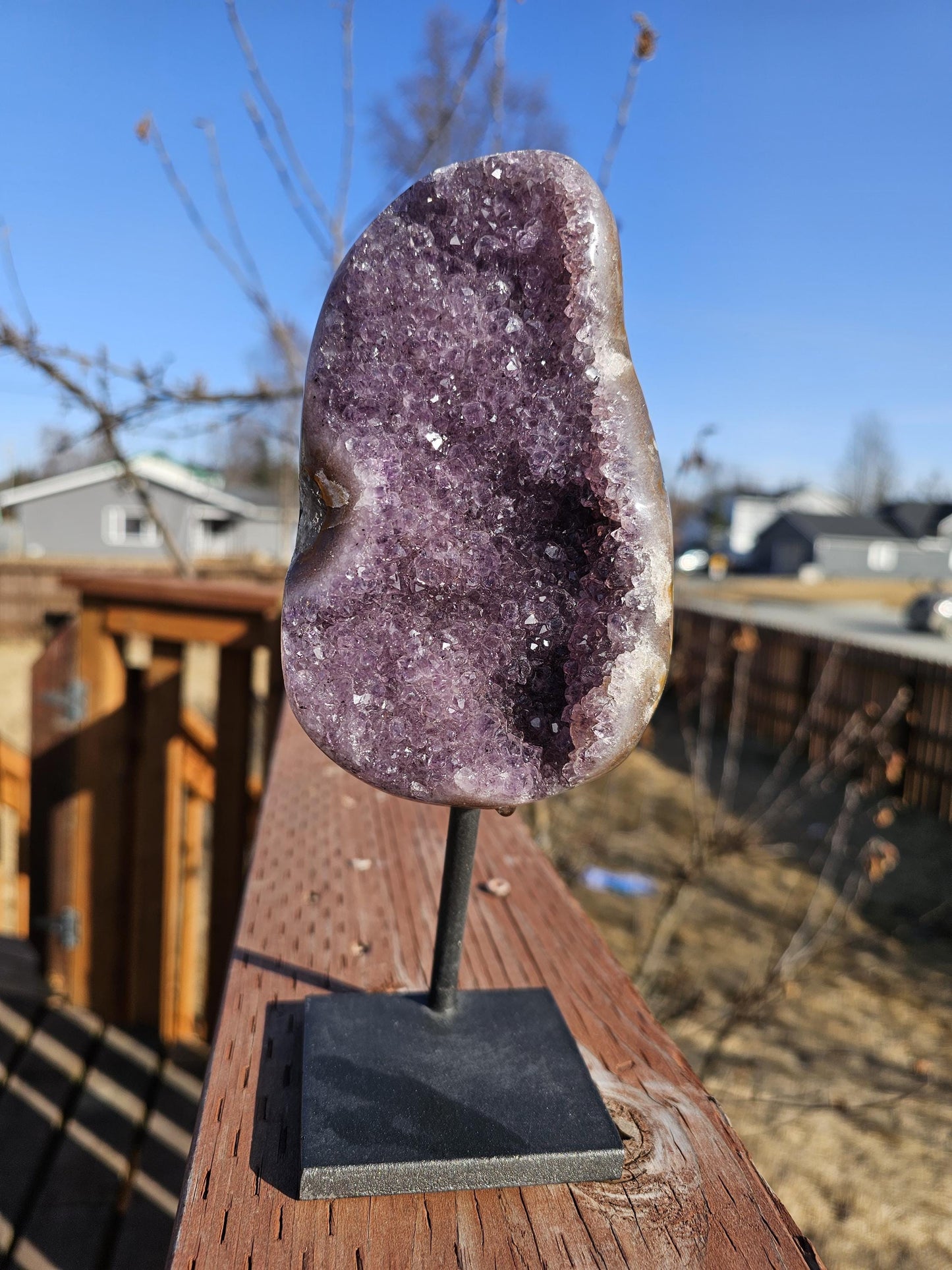 Brazil Amethyst Statement Piece on Metal Stand