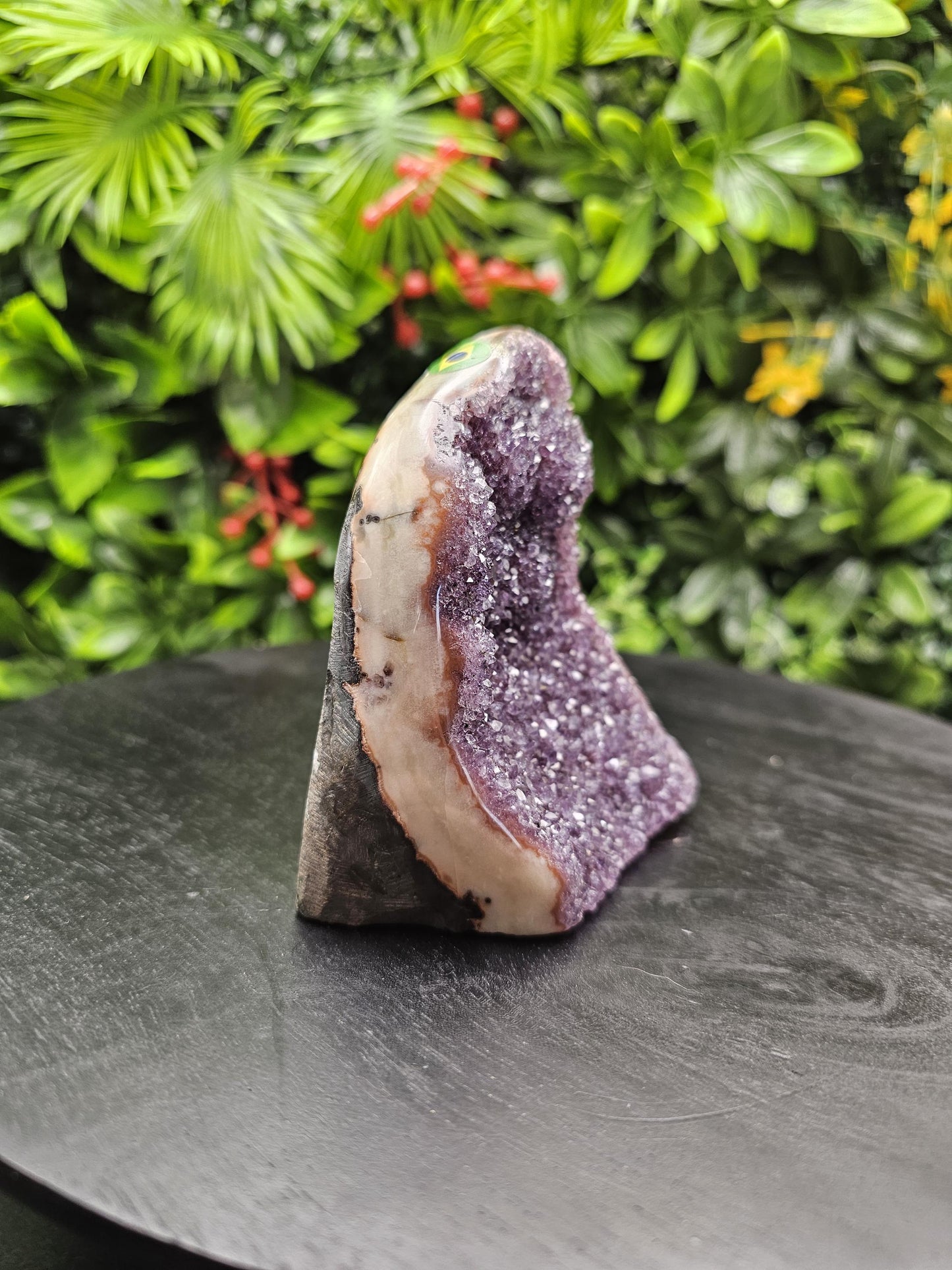 Grape Jelly Polished Amethyst Freeform with Unique Agate Trim