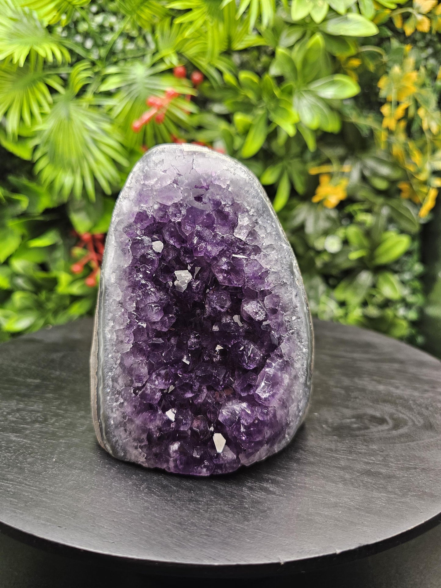 Grape Jelly Amethyst Freeform