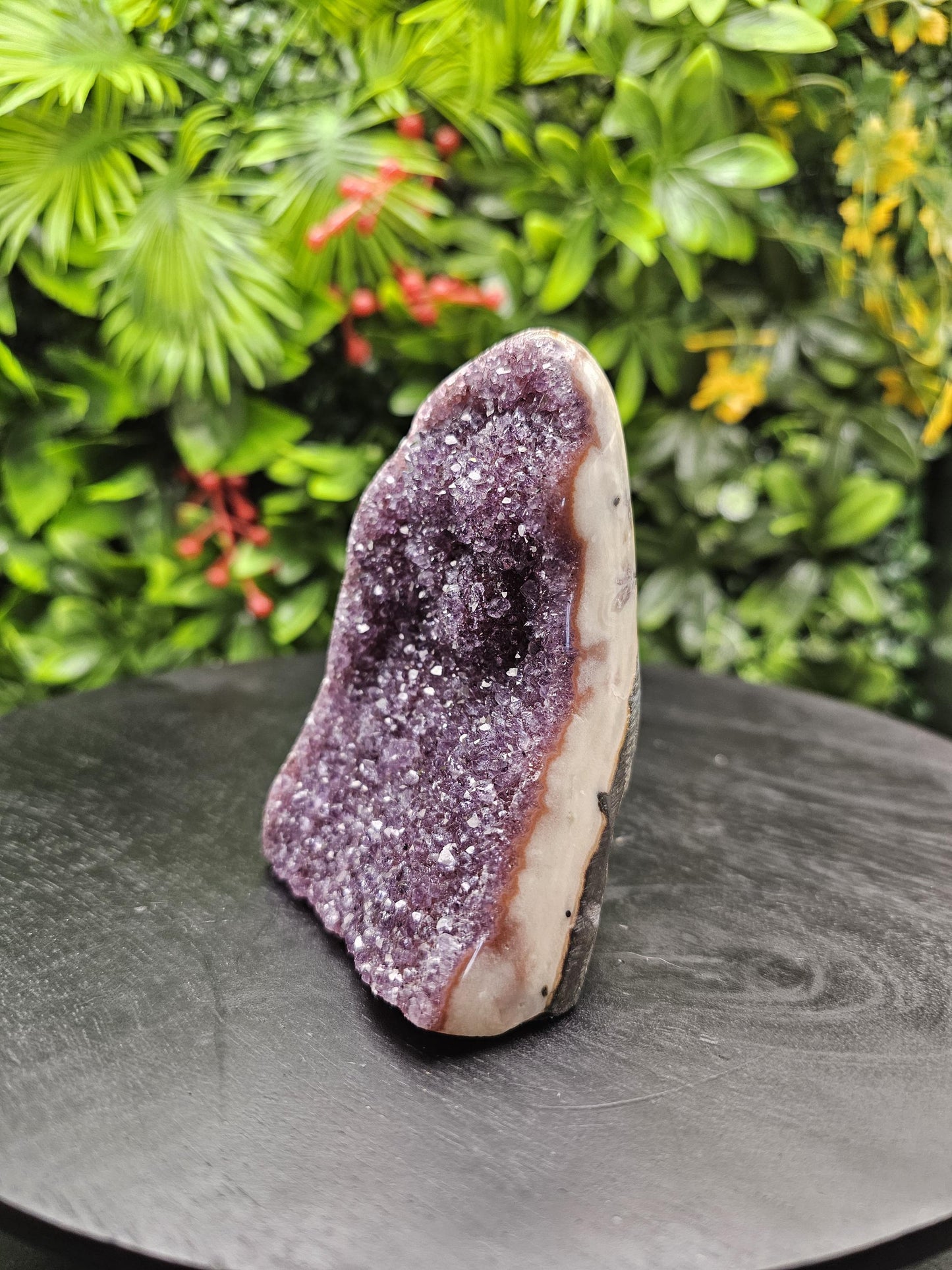 Grape Jelly Polished Amethyst Freeform with Unique Agate Trim