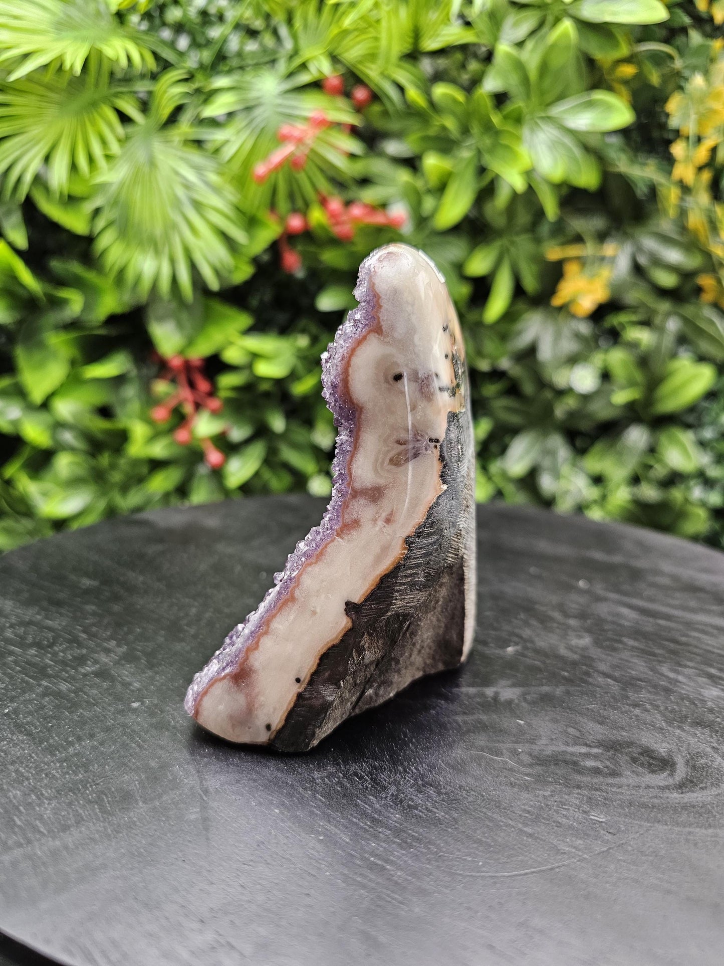 Grape Jelly Polished Amethyst Freeform with Unique Agate Trim