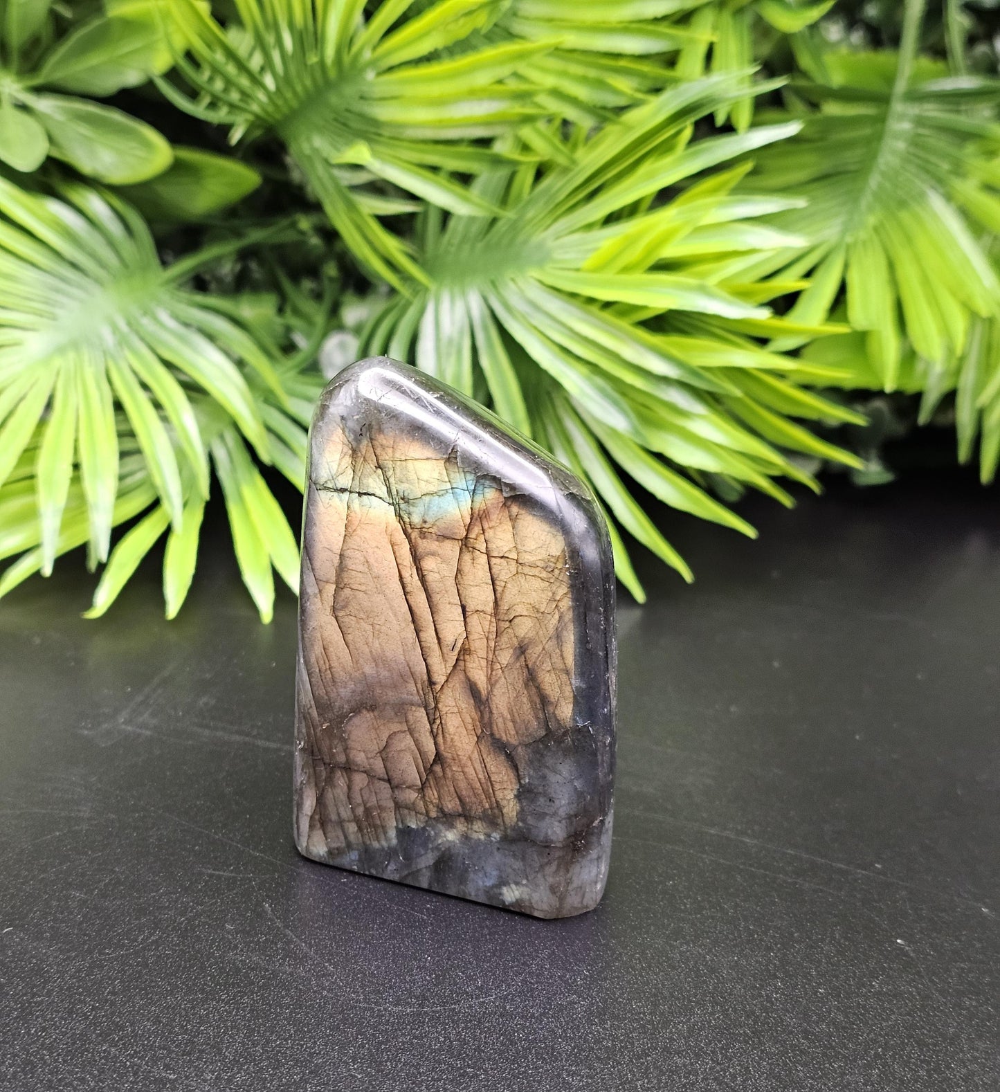 Enchanting Labradorite Freeform