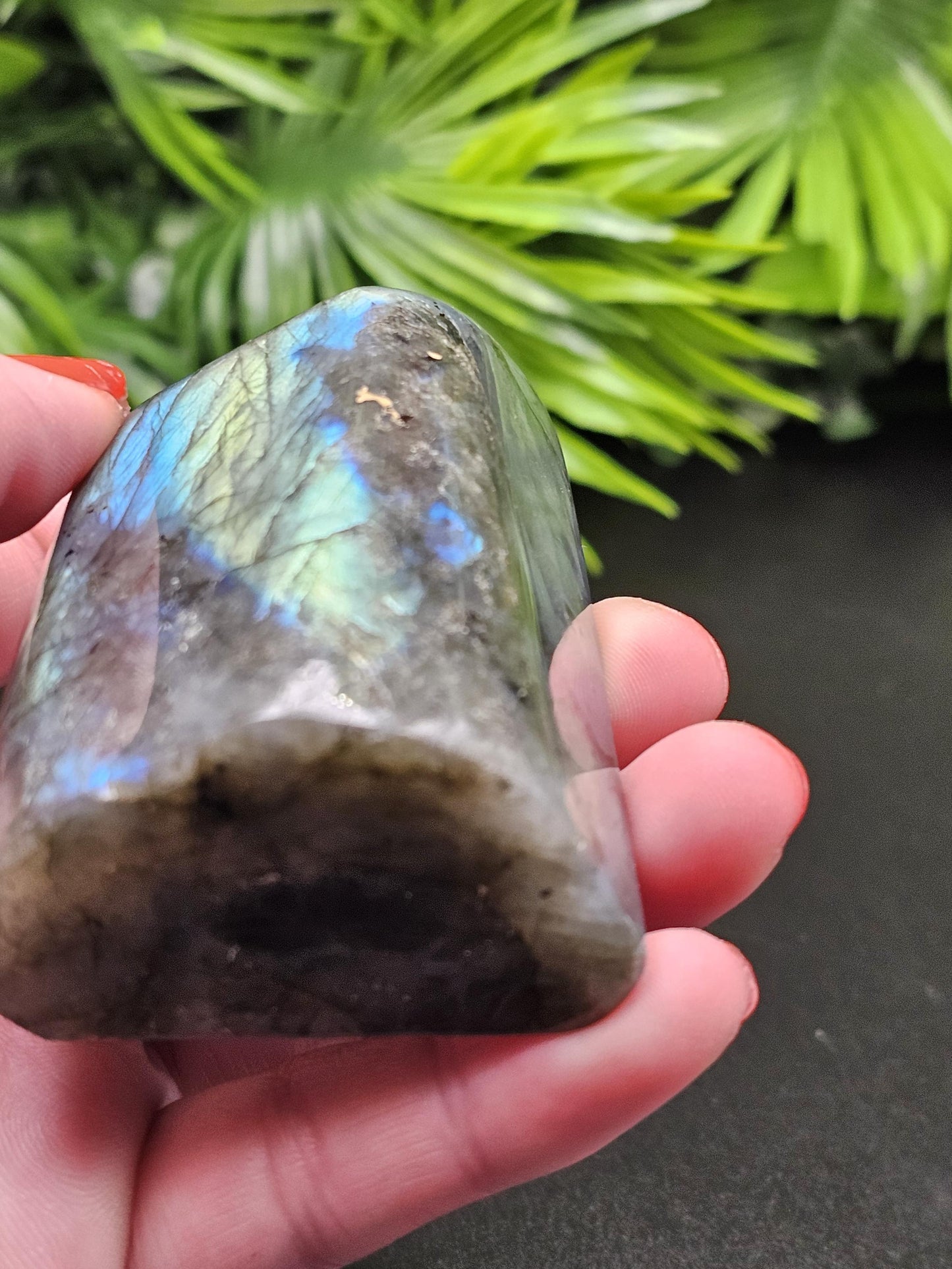 Enchanting Labradorite Freeform
