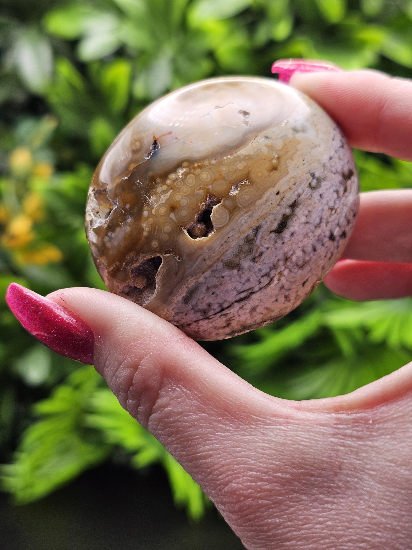Ocean Jasper Large Palm Stone