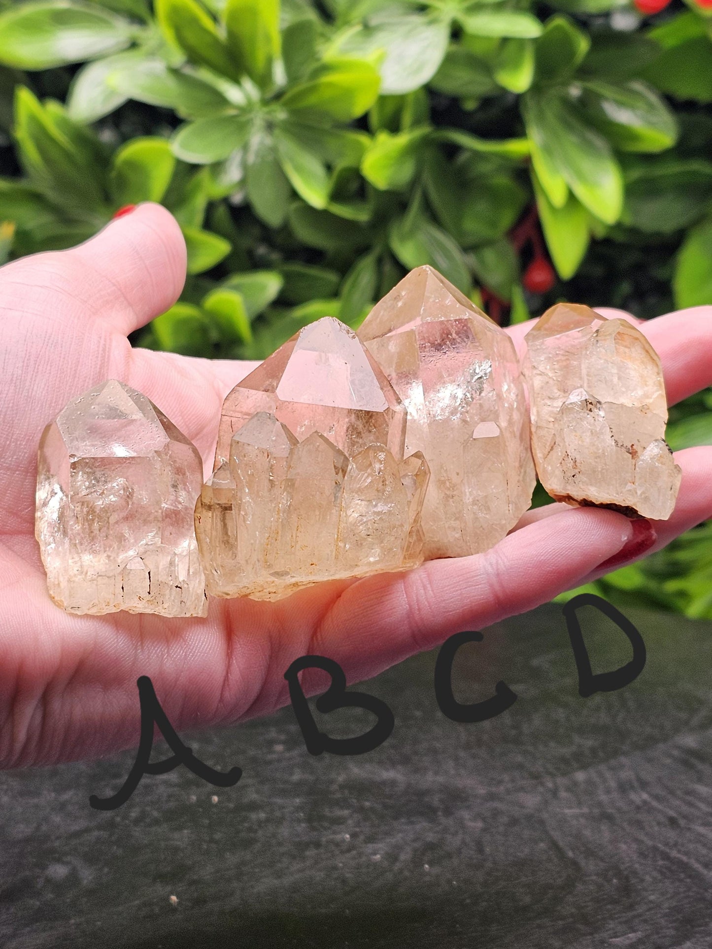 Kundalini Citrine semi-small Points multiple to choose from with Rainbows!