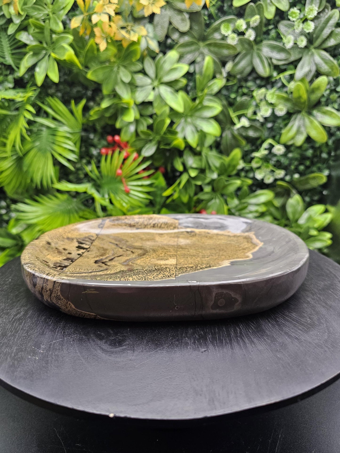 Large Picture Jasper Plate: Dendritic Landscape Decor Tray
