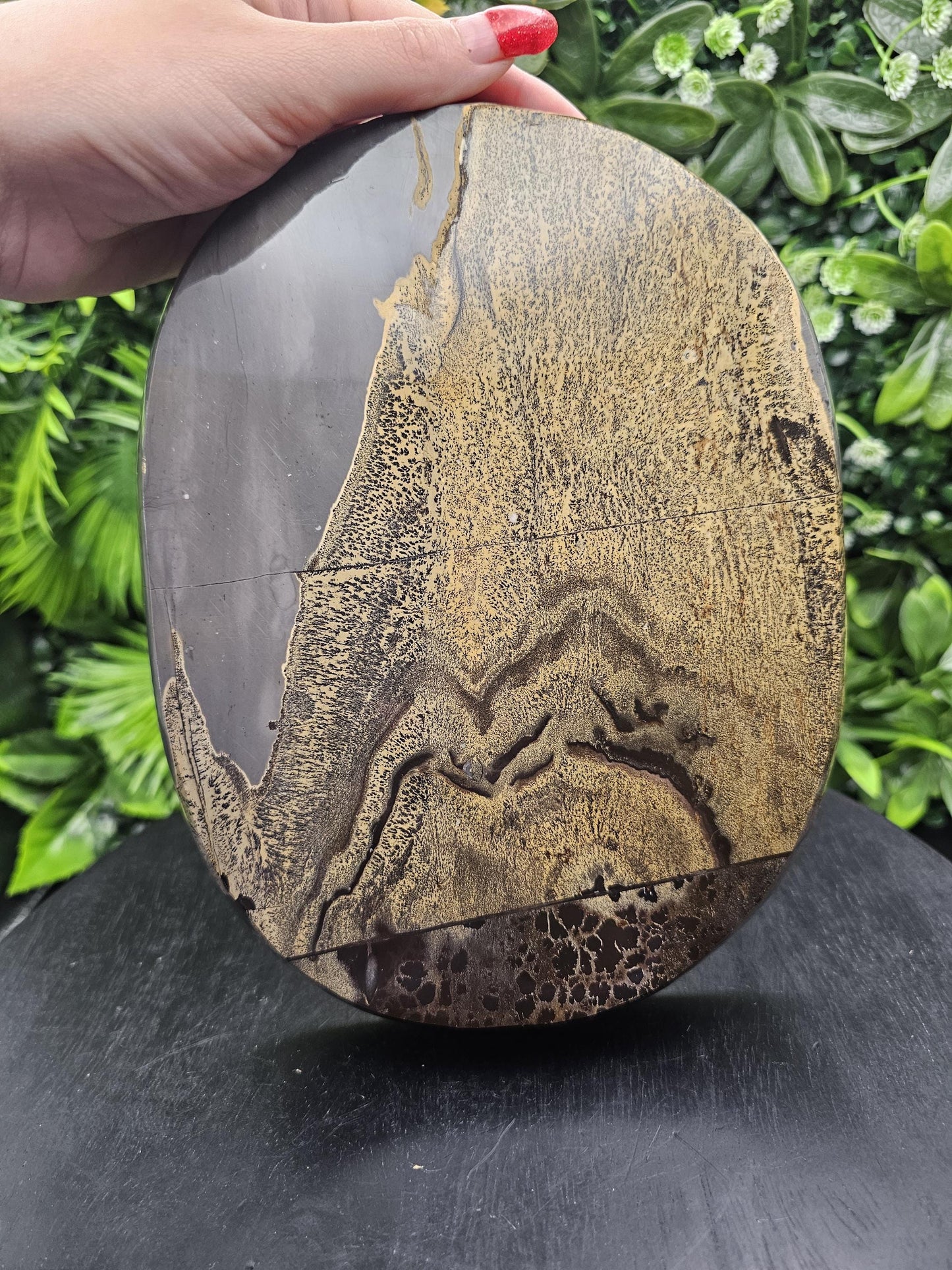 Large Picture Jasper Plate: Dendritic Landscape Decor Tray