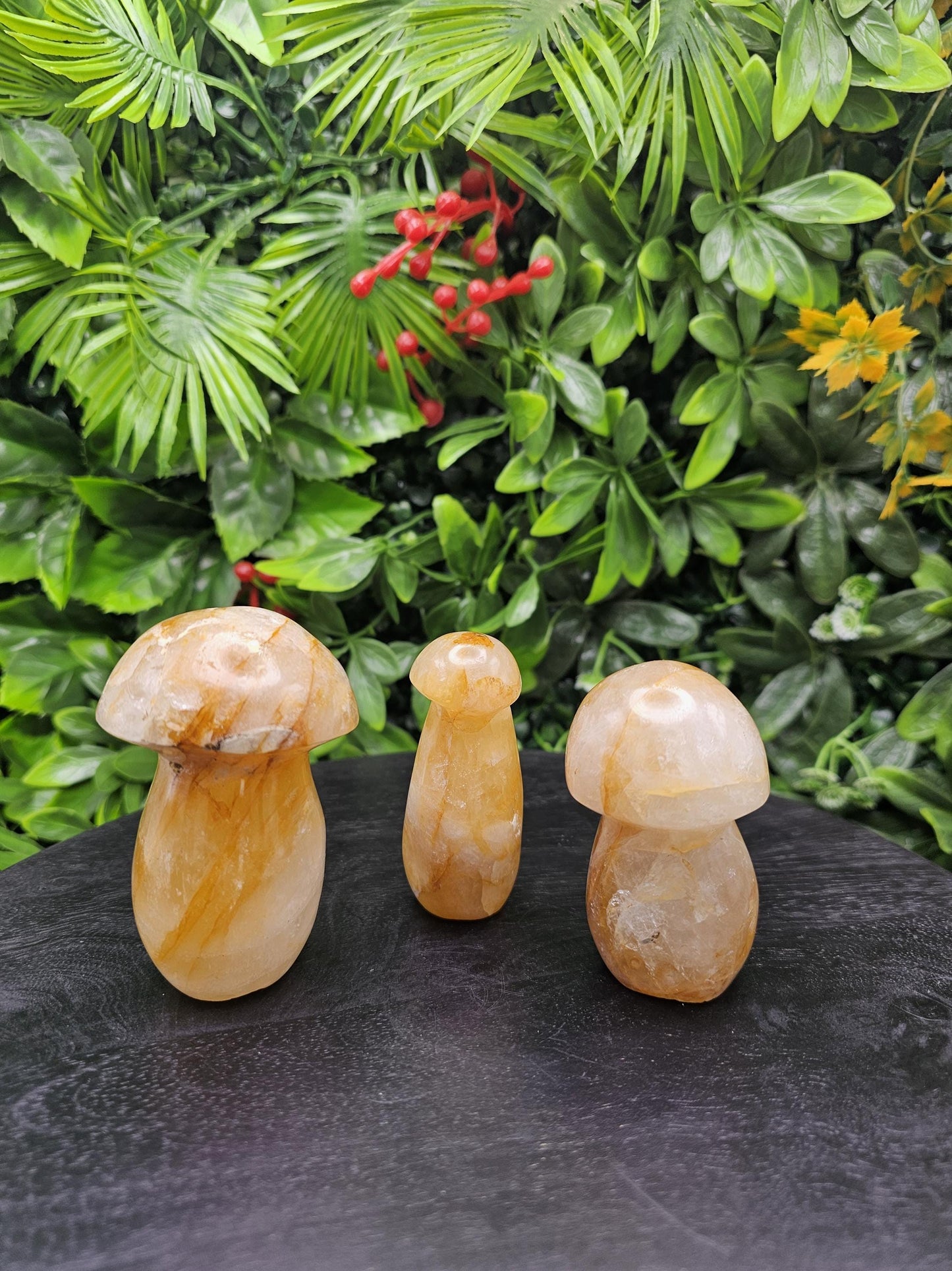 Golden Healer Crystal Mushroom
