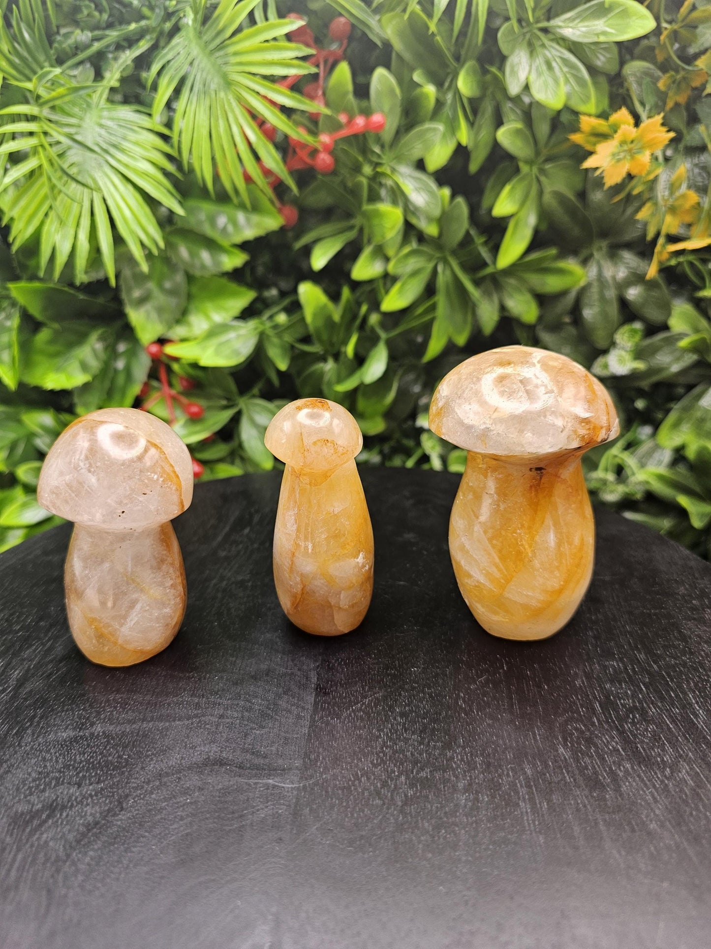 Golden Healer Crystal Mushroom