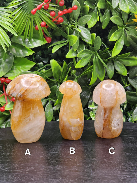 Golden Healer Crystal Mushroom