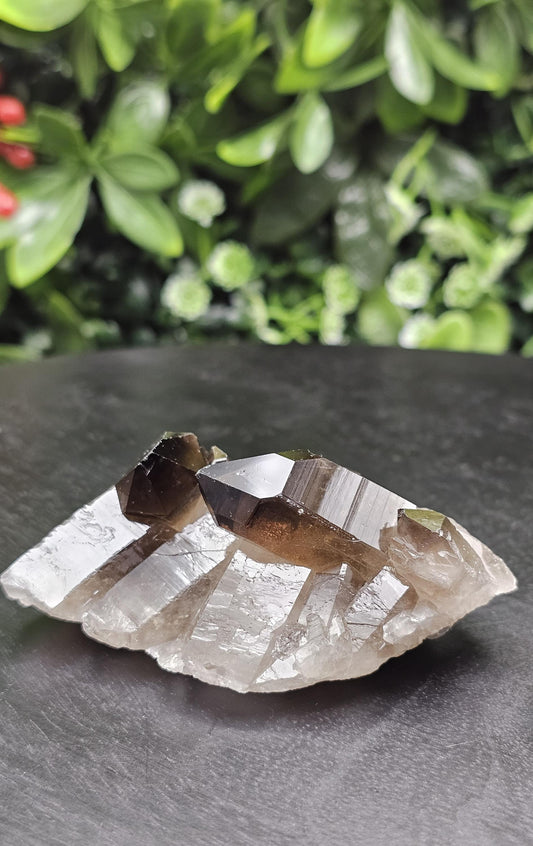 Dark Smoky Quartz Crystal Cluster
