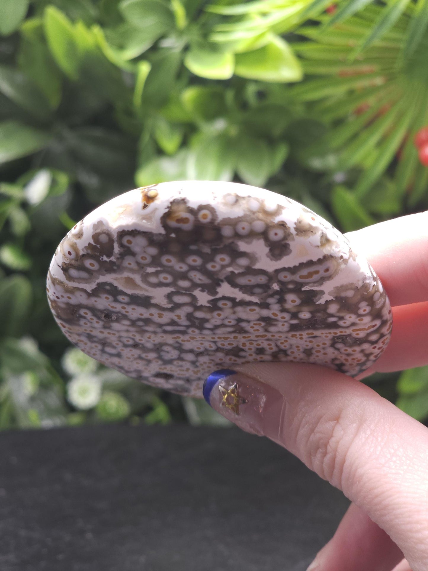 Rare 8th Vein Maravoto Ocean Jasper Palm Stone