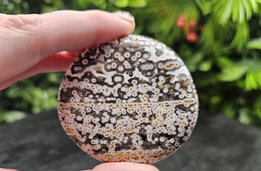 Rare 8th Vein Maravoto Ocean Jasper Palm Stone
