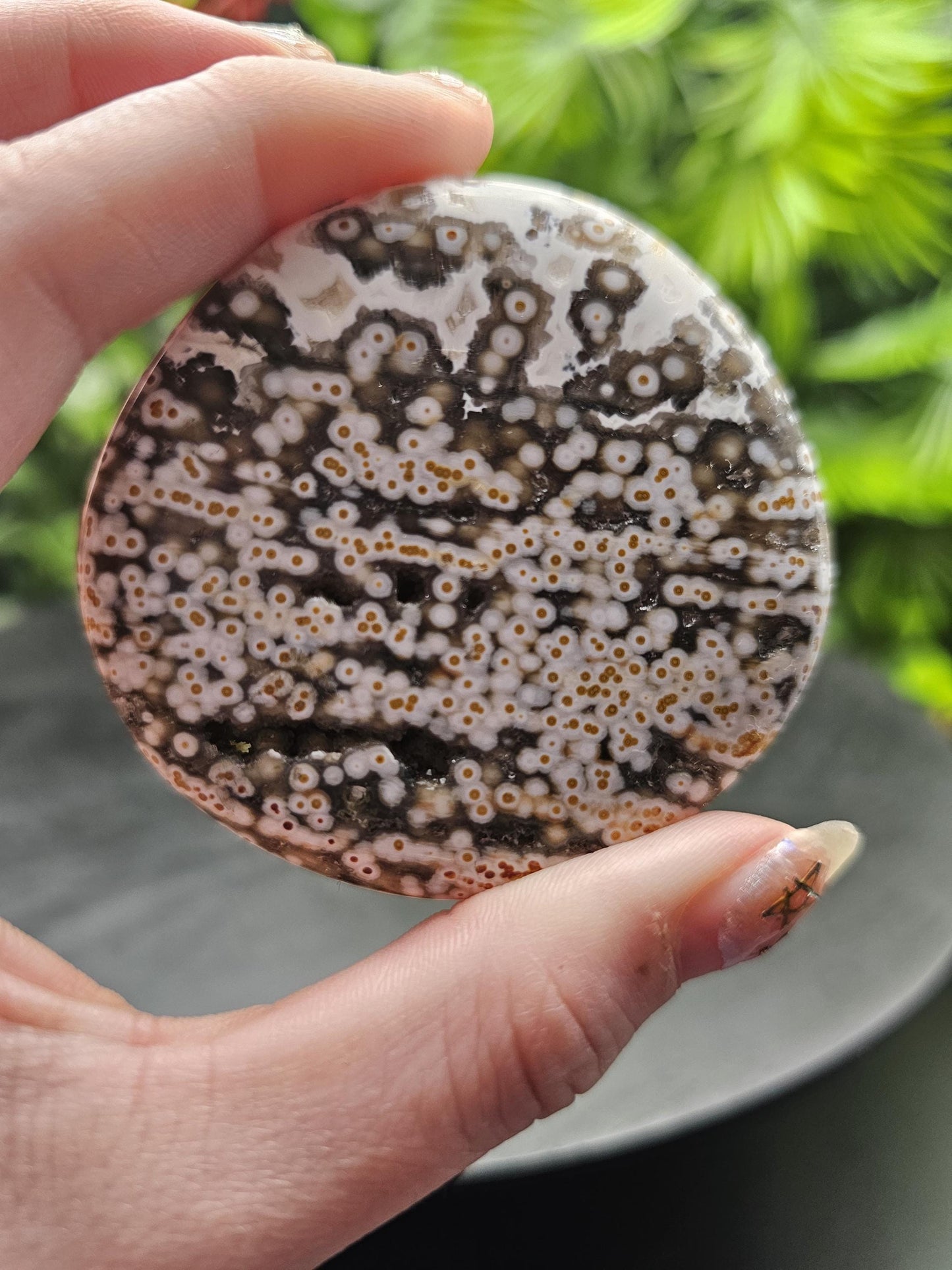 Rare 8th Vein Maravoto Ocean Jasper Palm Stone