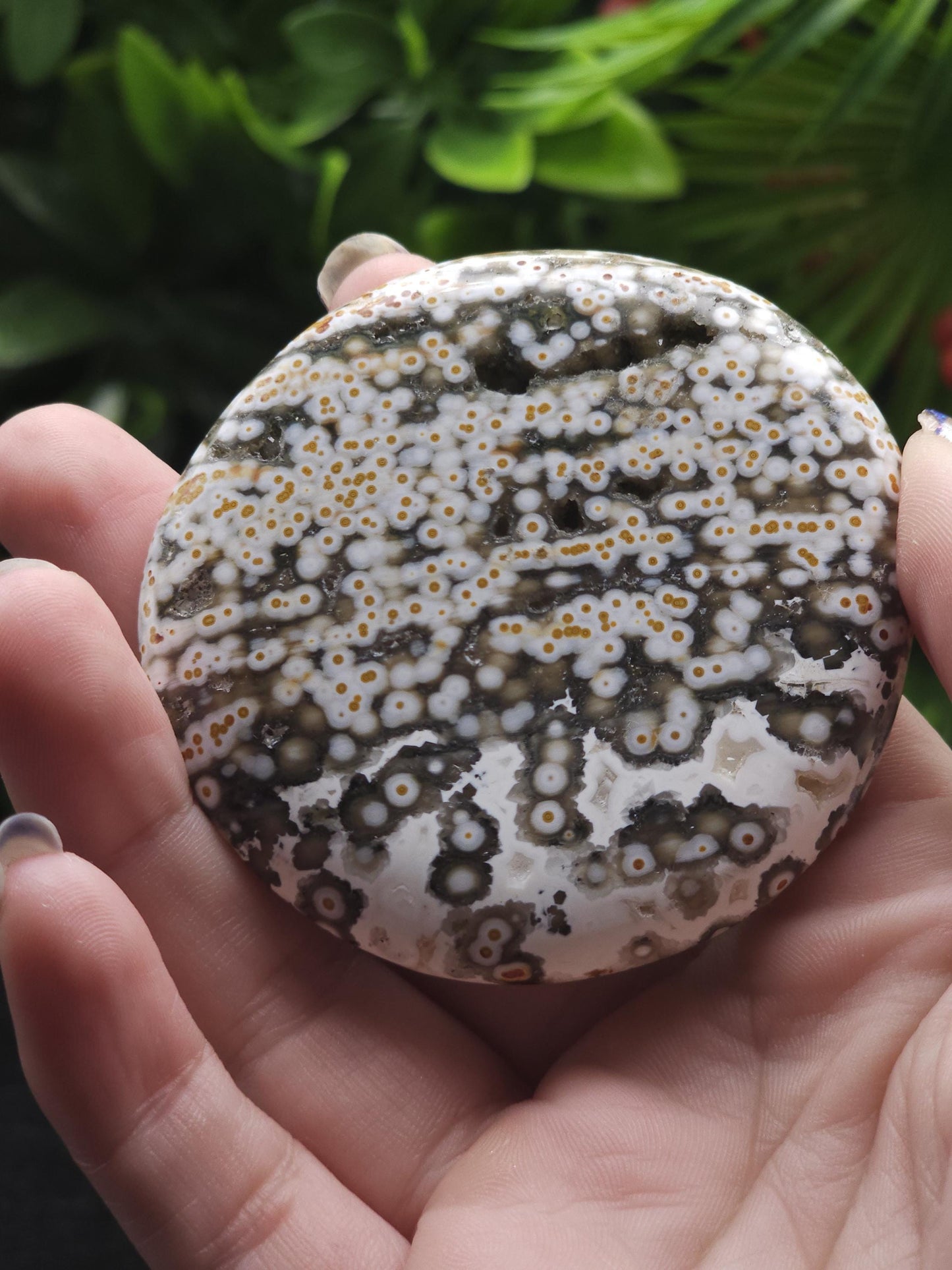 Rare 8th Vein Maravoto Ocean Jasper Palm Stone