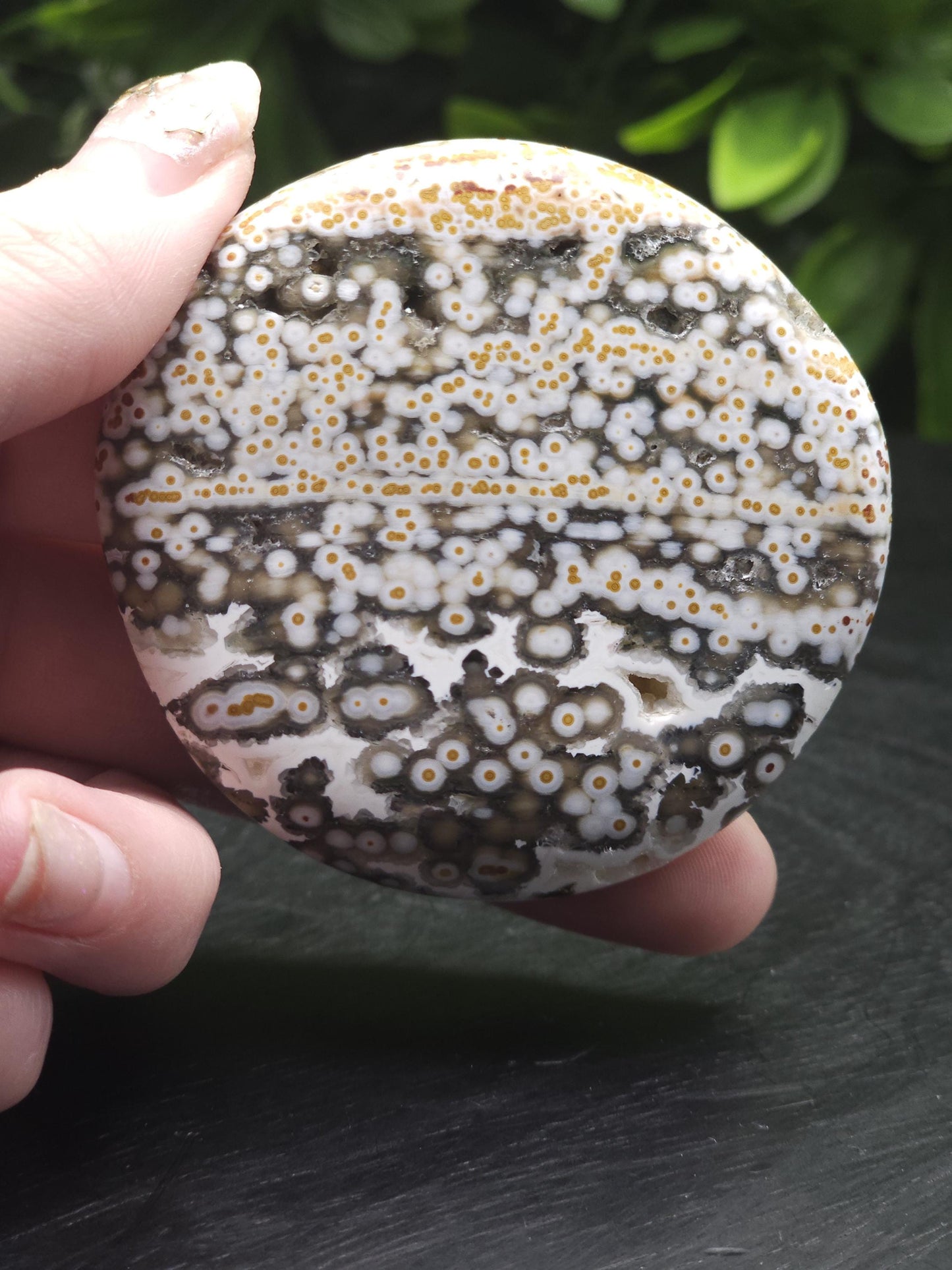 Rare 8th Vein Maravoto Ocean Jasper Palm Stone