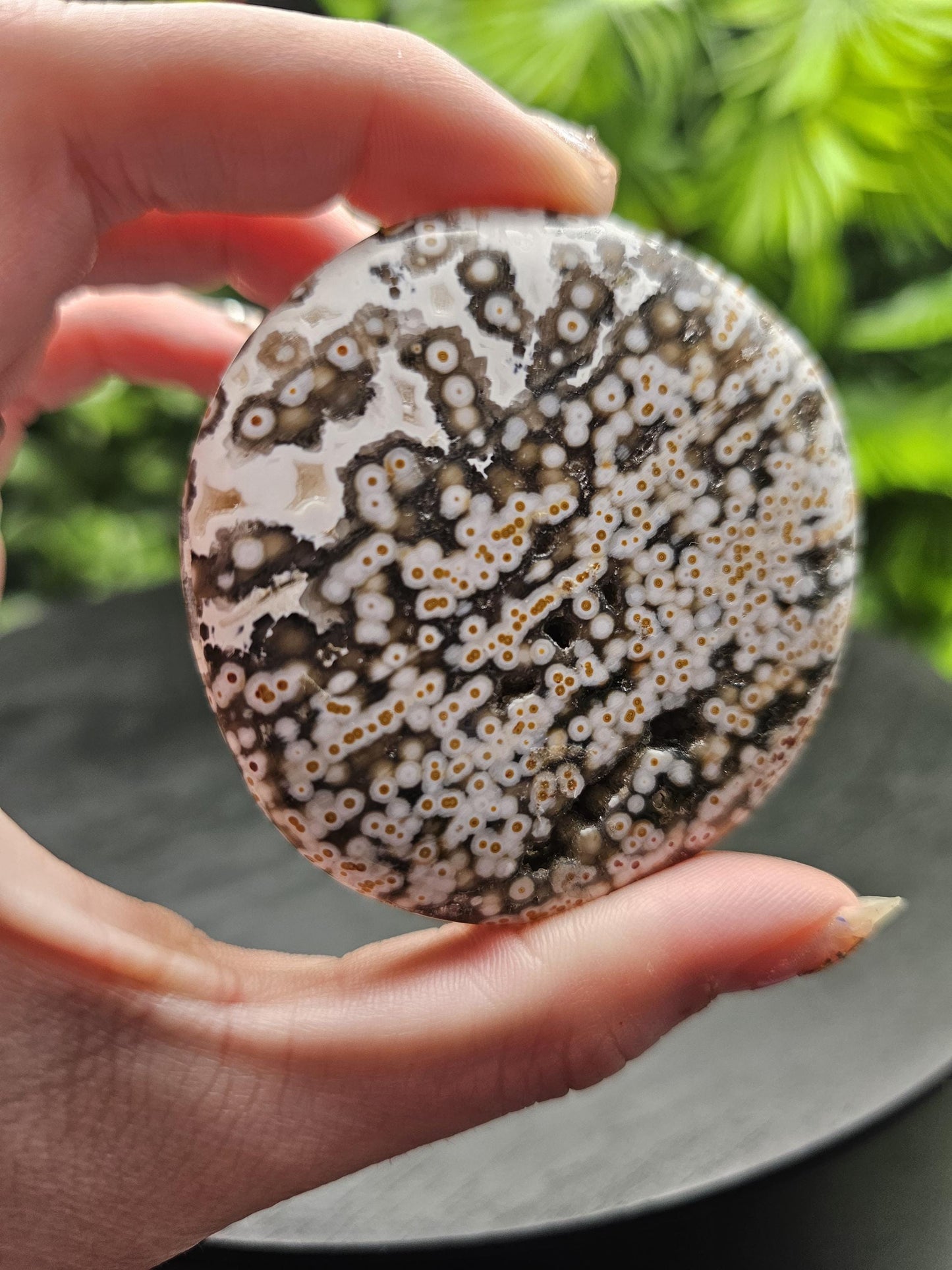 Rare 8th Vein Maravoto Ocean Jasper Palm Stone