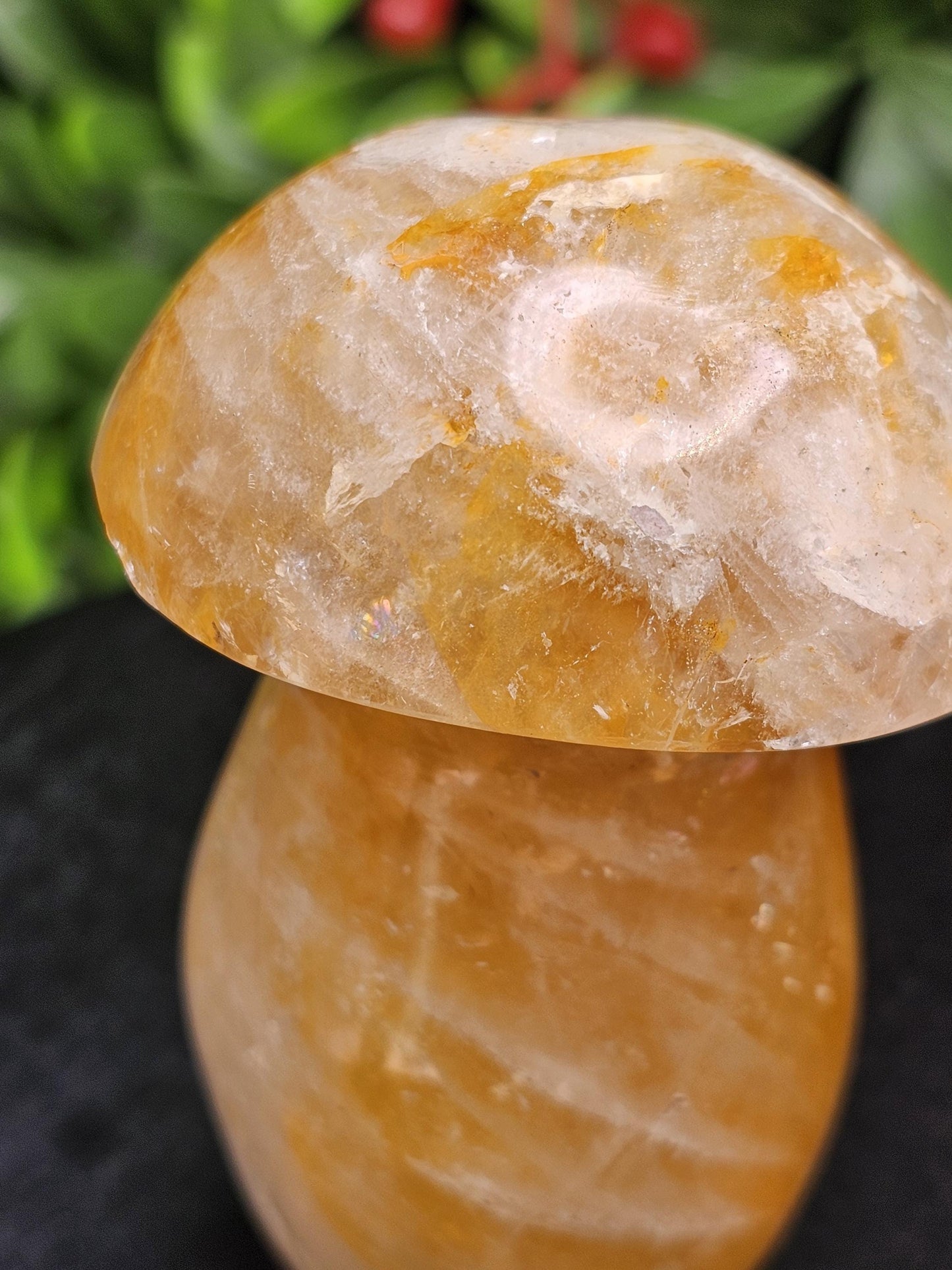 Golden Healer Crystal Mushroom