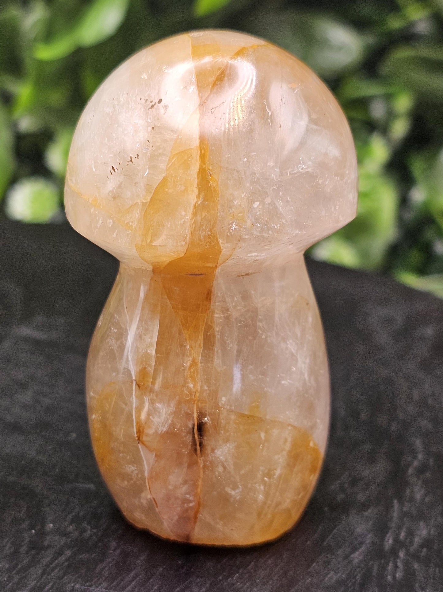 Golden Healer Crystal Mushroom