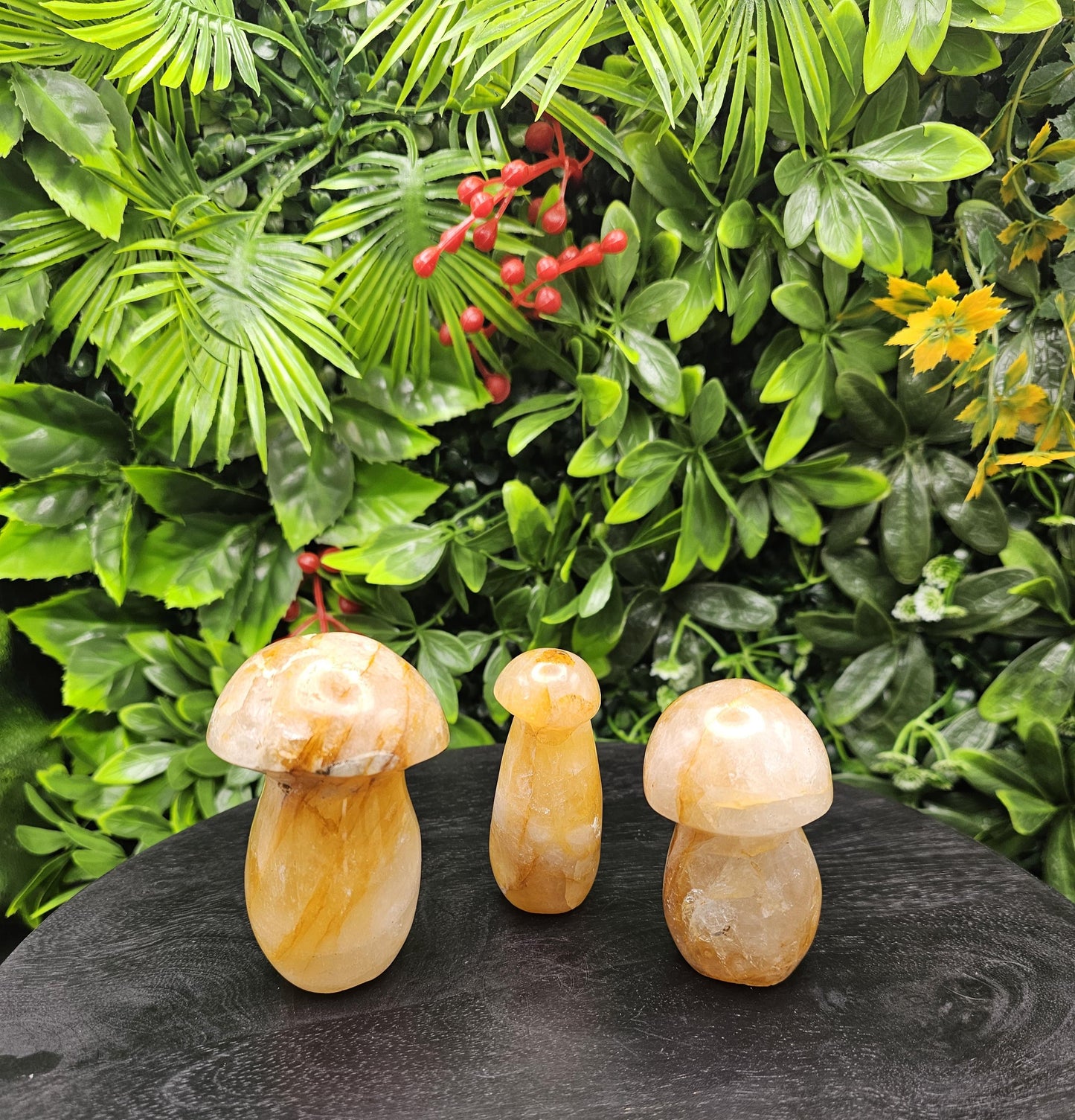 Golden Healer Crystal Mushroom