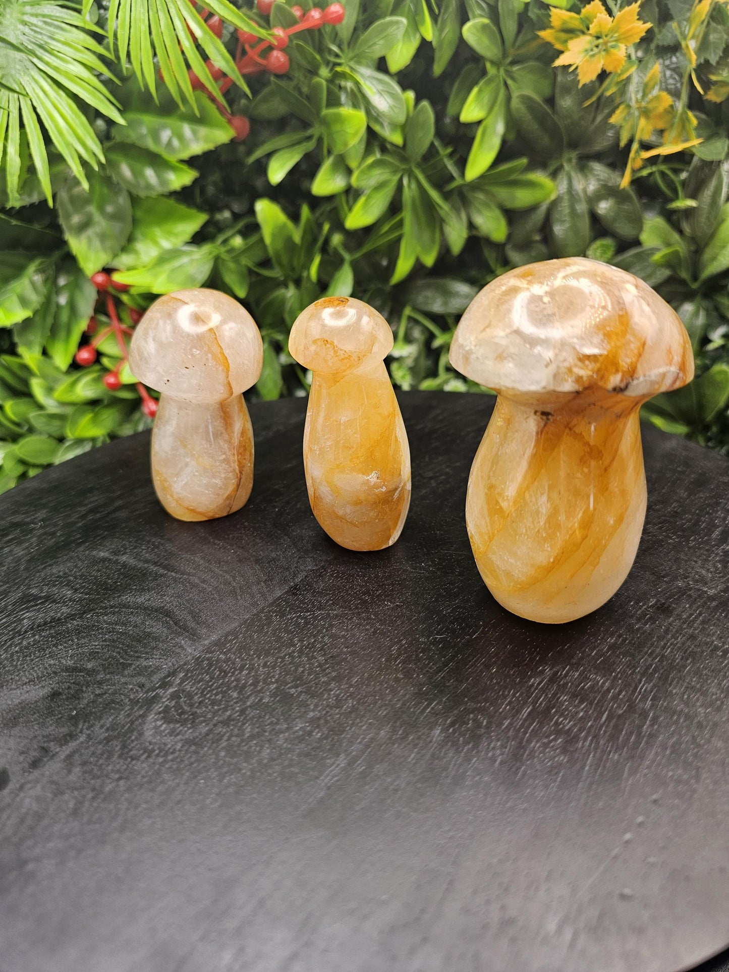 Golden Healer Crystal Mushroom