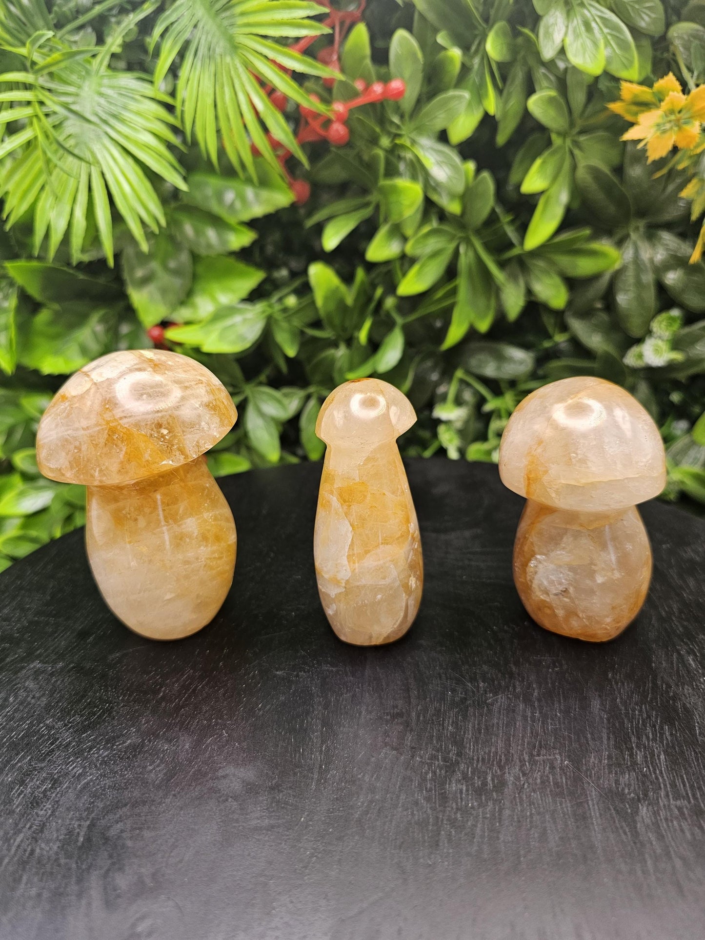 Golden Healer Crystal Mushroom