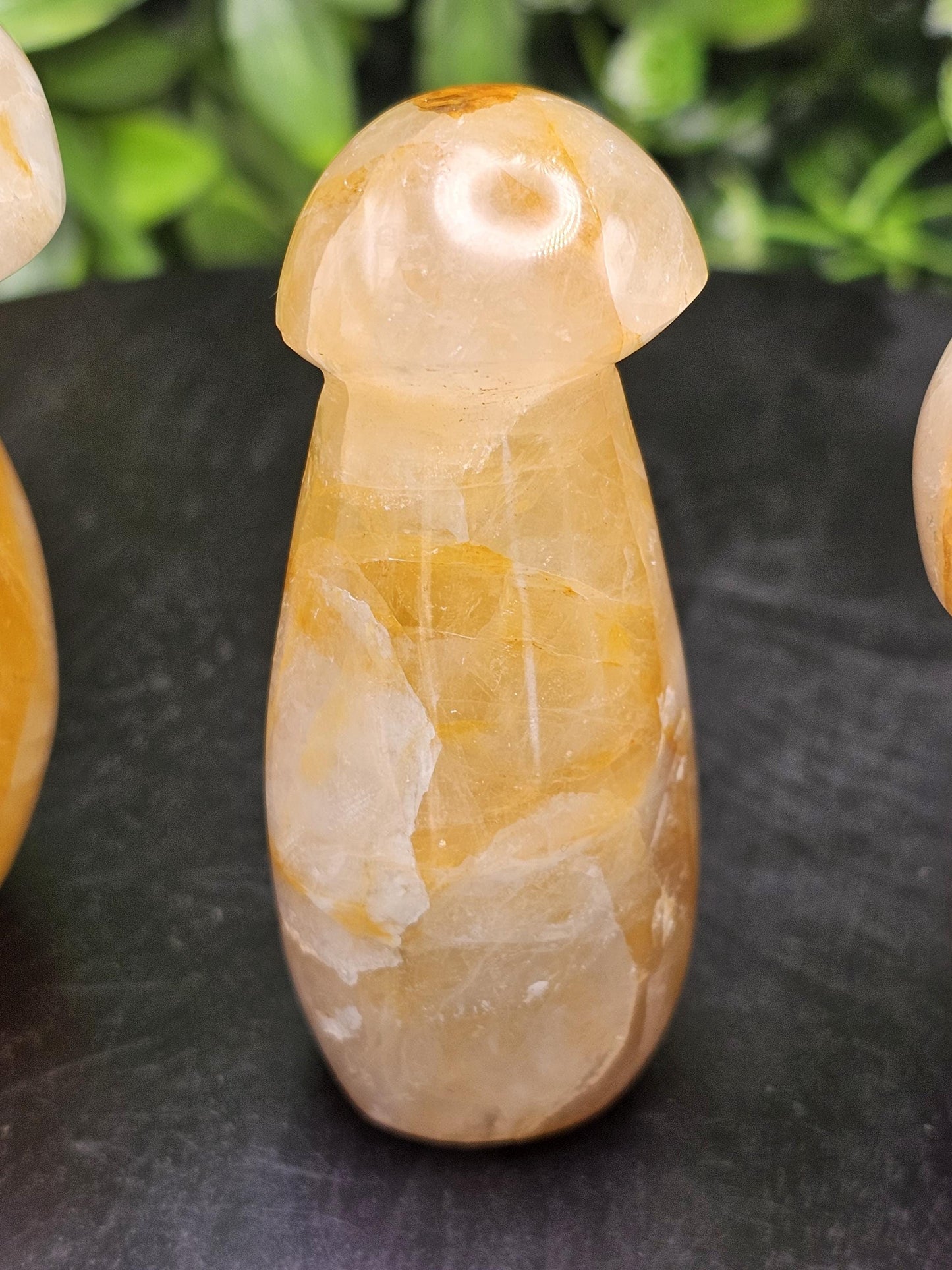 Golden Healer Crystal Mushroom