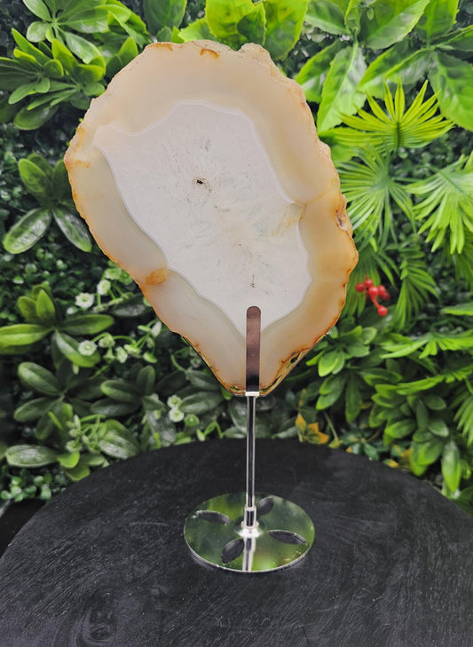 Unique Agate Slice on Display Stand